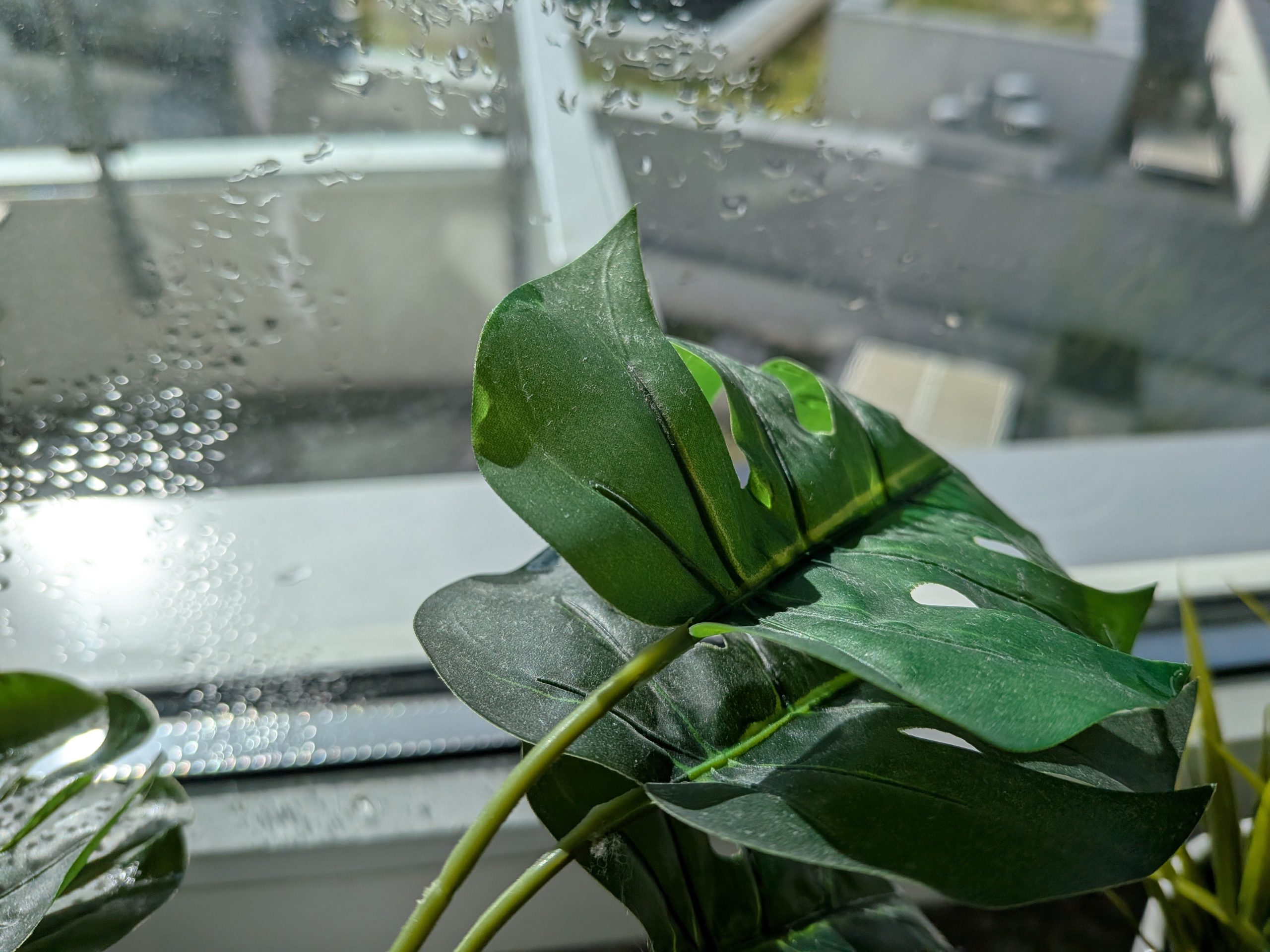 Zdjęcia makro - Google Pixel 9a