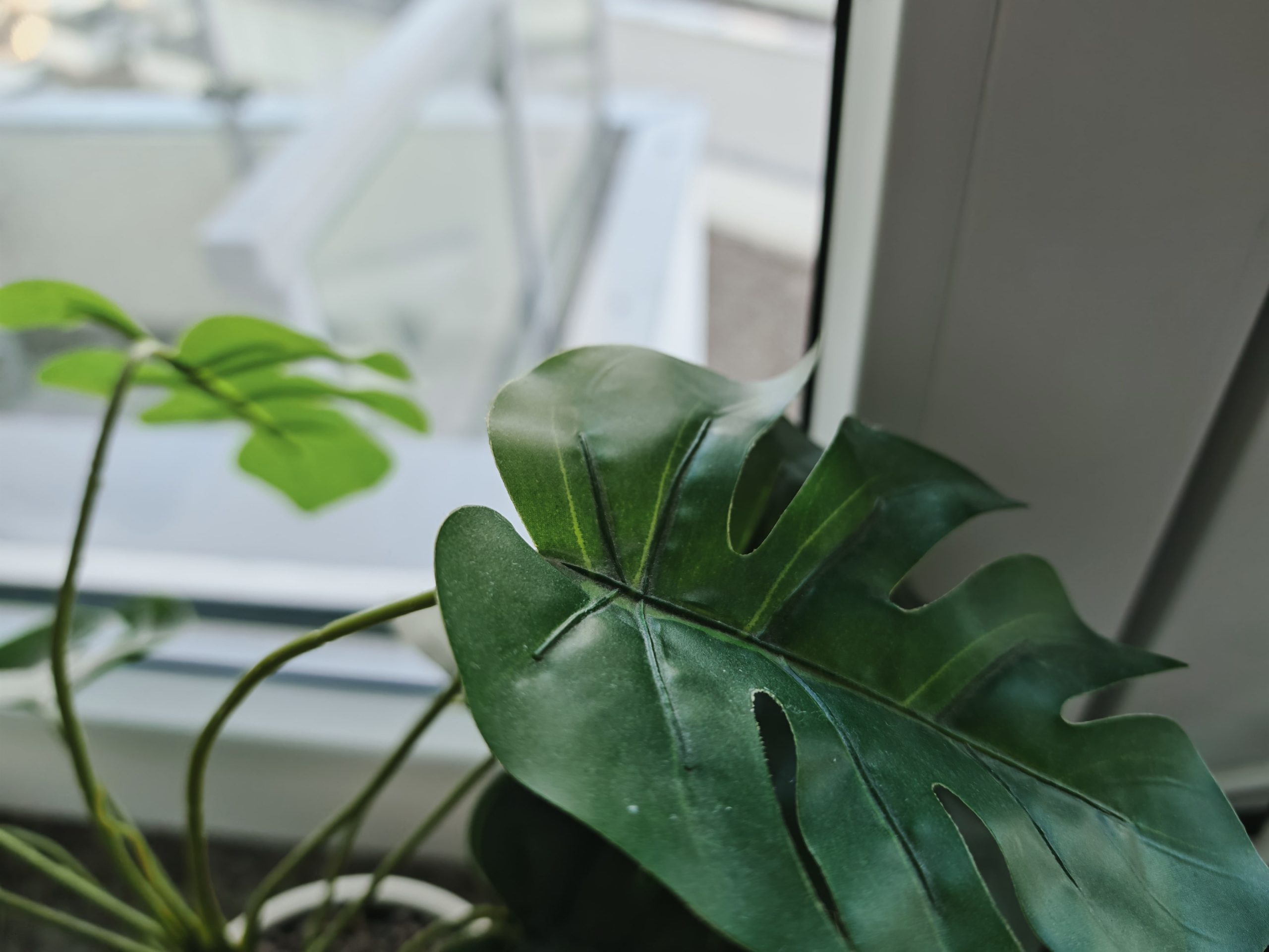 Zdjęcia makro - HONOR Magic7 Pro