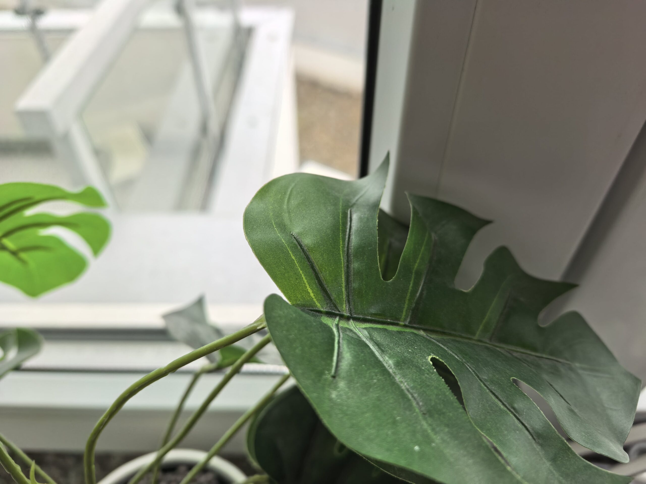 Zdjęcia makro - Huawei Mate X6