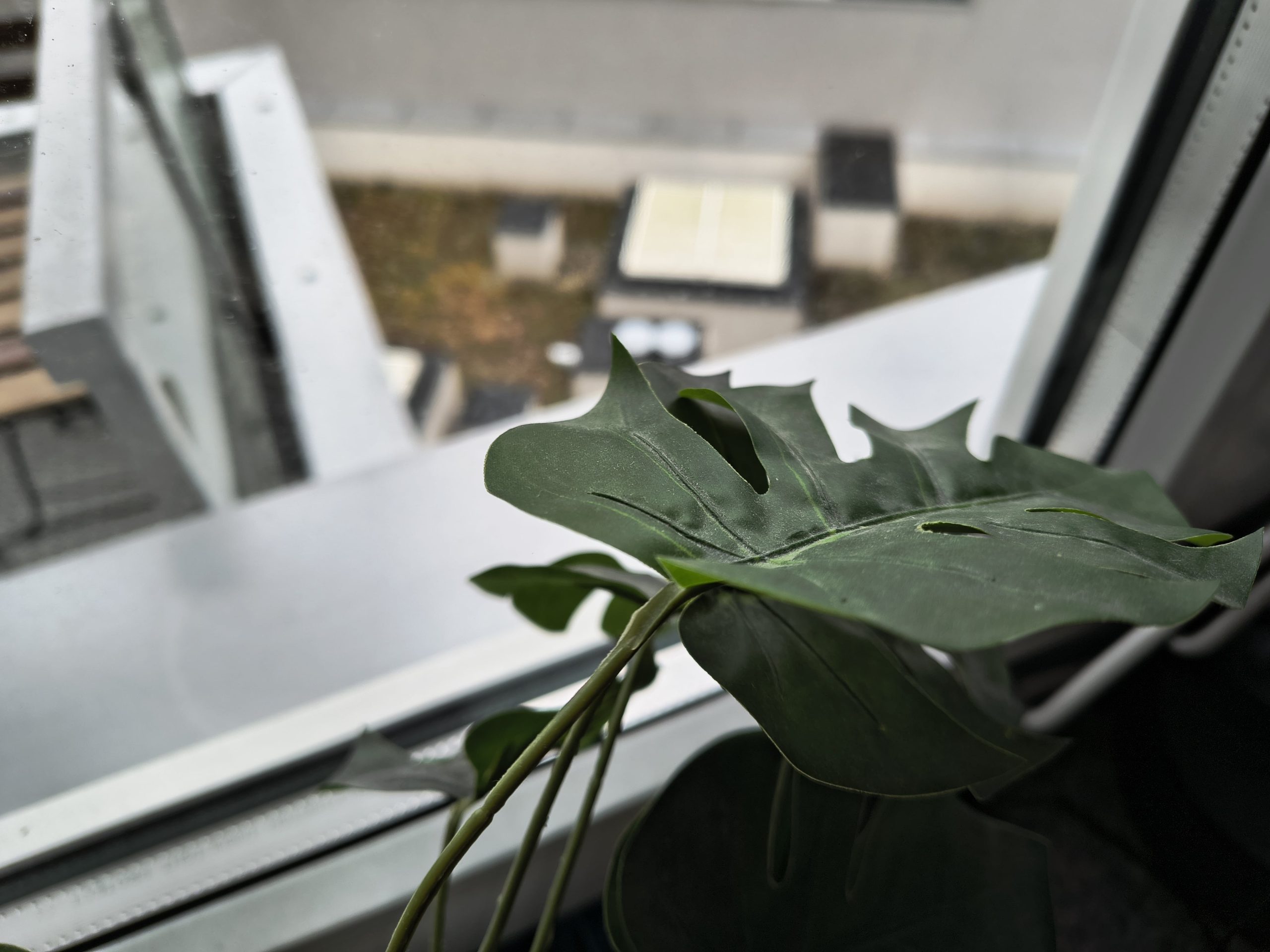 Zdjęcia makro - Motorola Edge 50 Neo