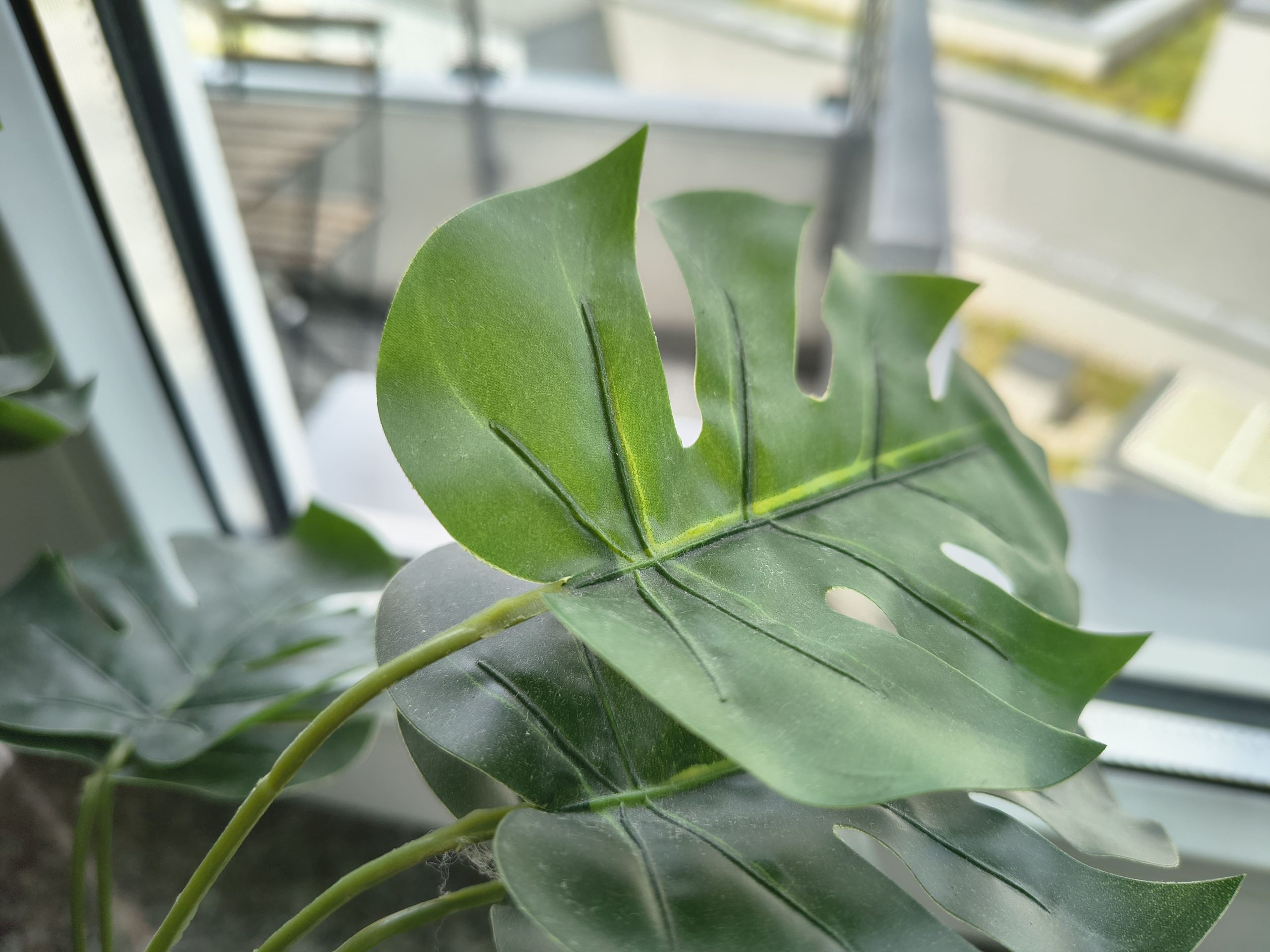 Zdjęcia makro - Motorola Edge 60