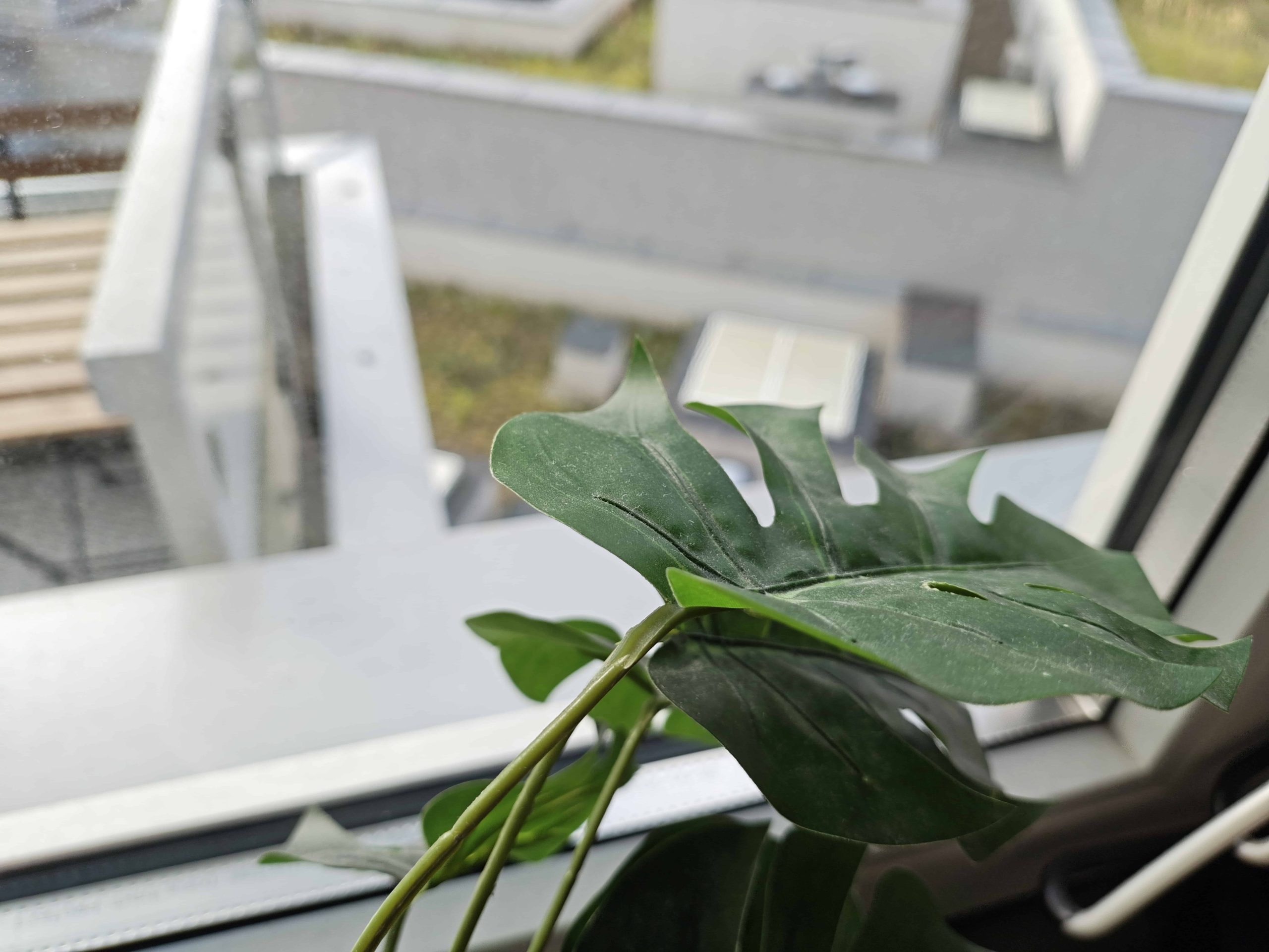 Zdjęcia makro - Motorola Razr 50 Ultra