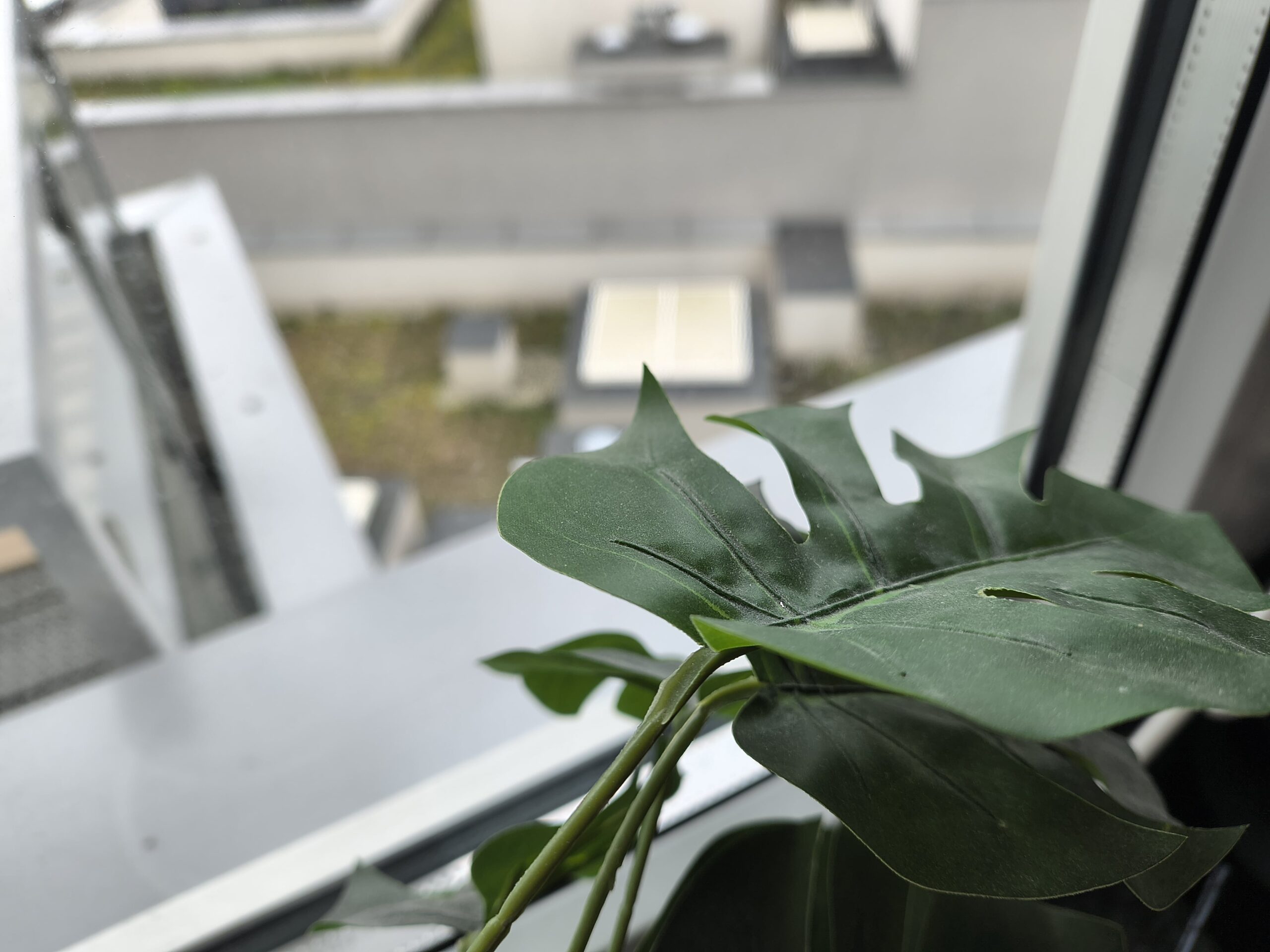 Zdjęcia makro - Motorola Razr 50