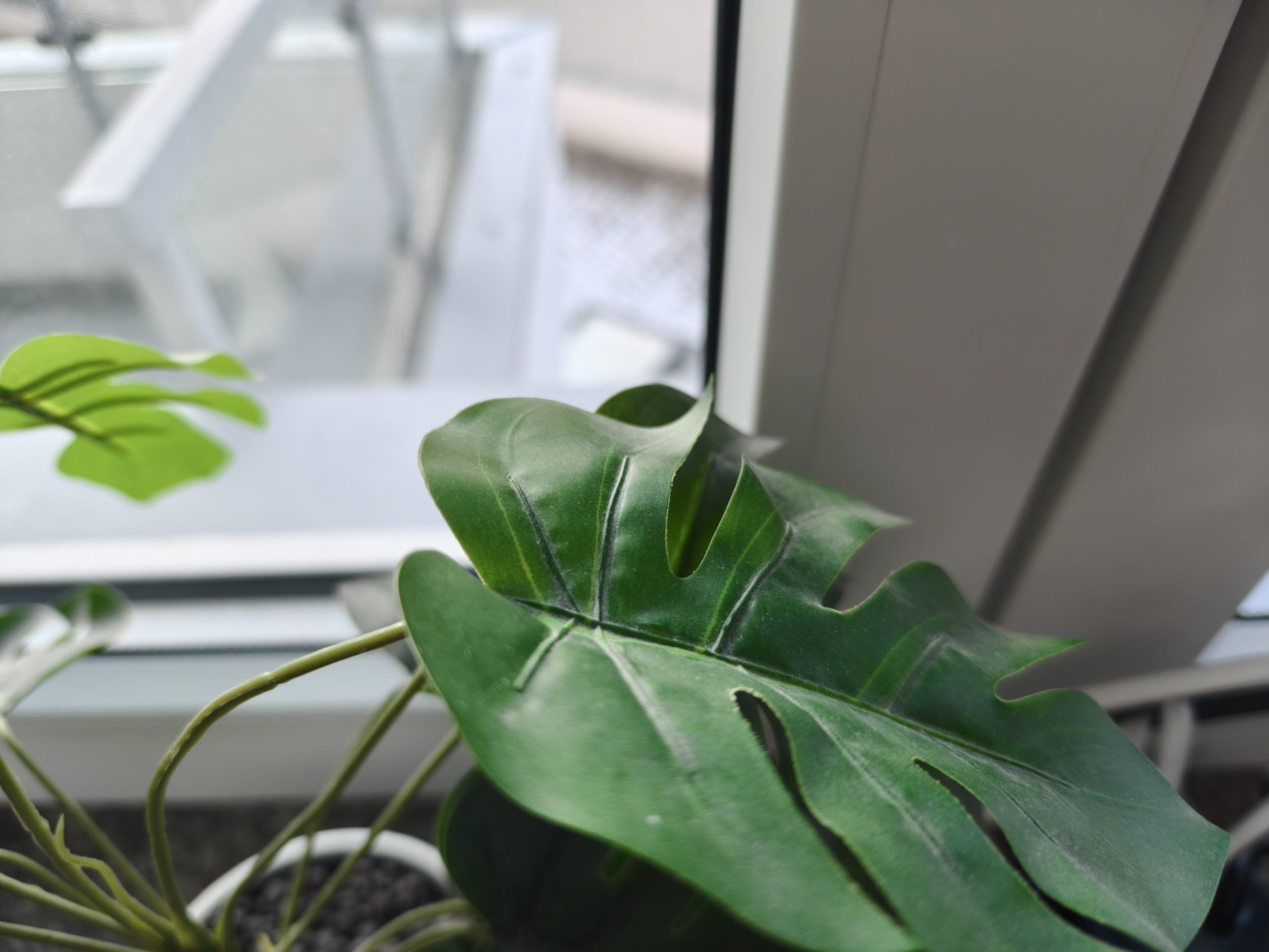 Zdjęcia makro - OPPO Find X8 Pro