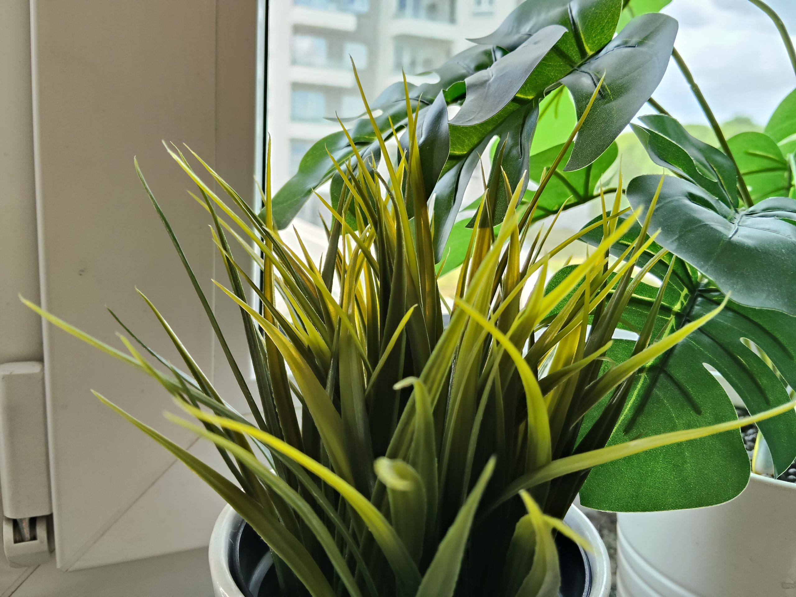 Zdjęcia makro - OPPO Reno13 FS