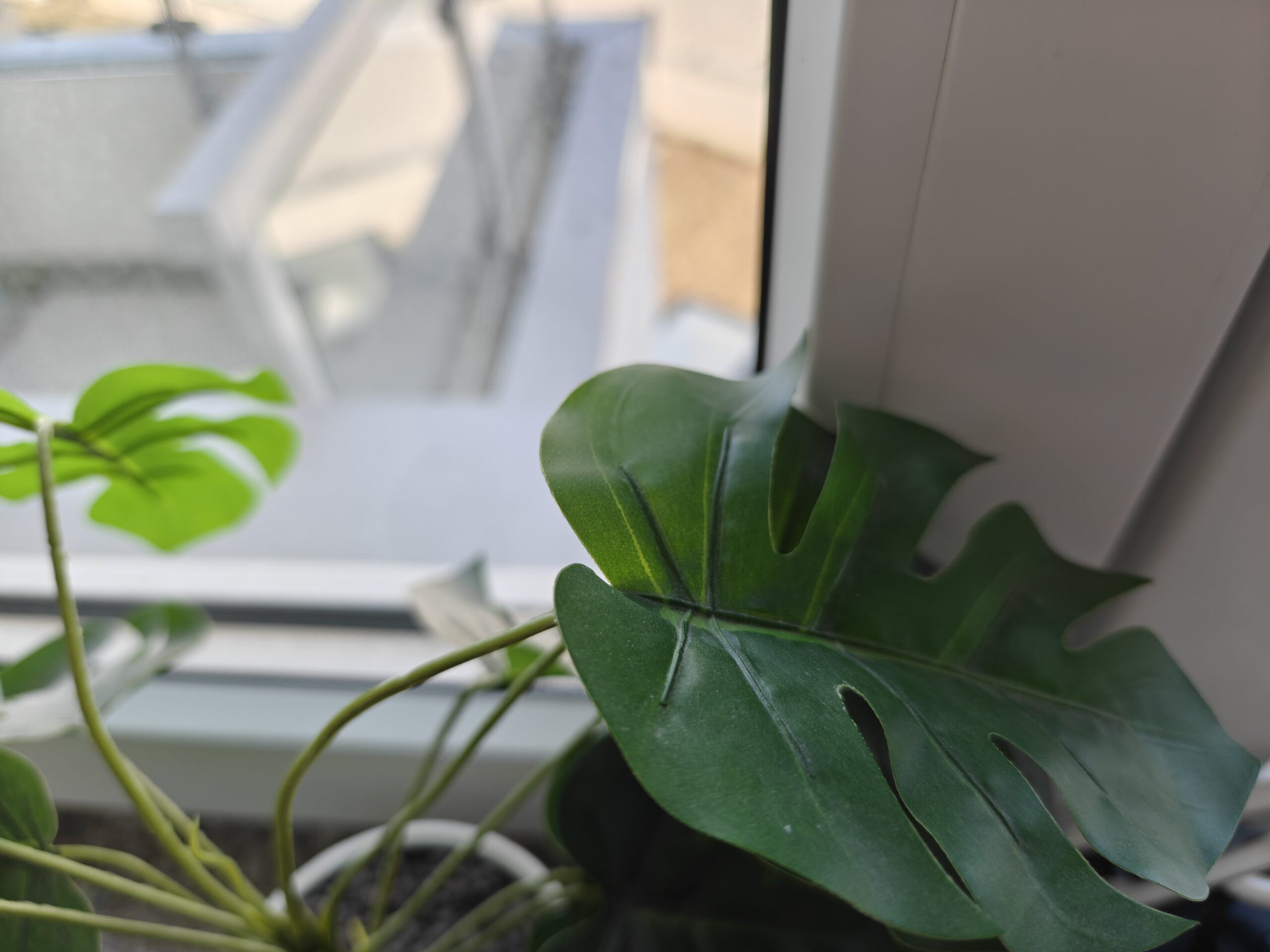 Zdjęcia makro - OnePlus 13