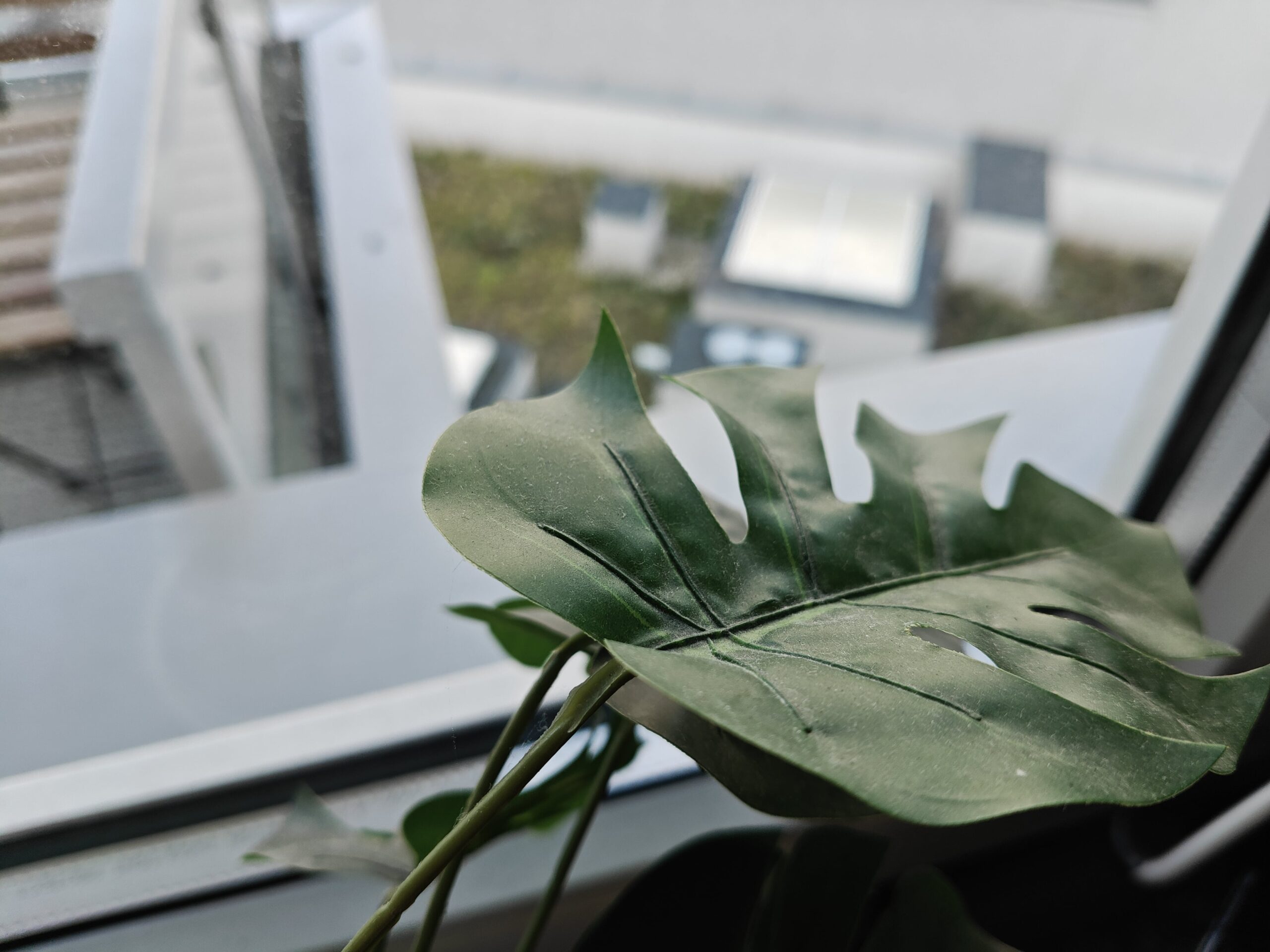 Zdjęcia makro - OnePlus Nord 4 Zdjęcia makro - OnePlus Nord 4