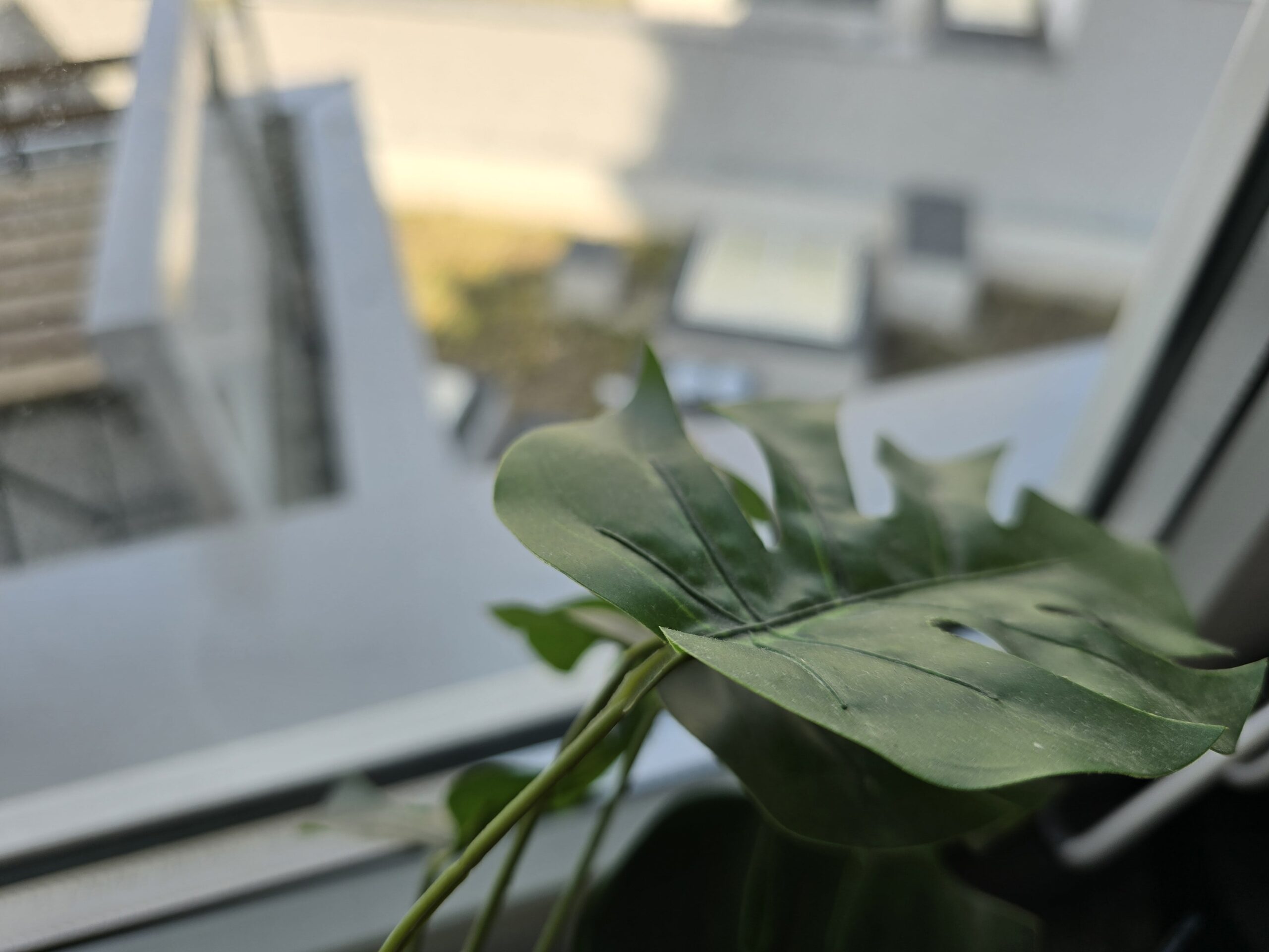 Zdjęcia makro - Samsung Galaxy S24 Ultra