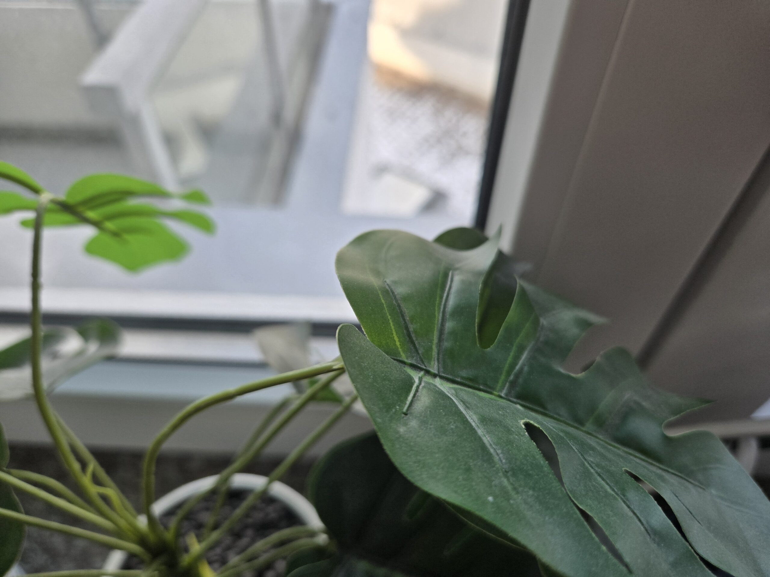 Zdjęcia makro - Samsung Galaxy Z Fold6