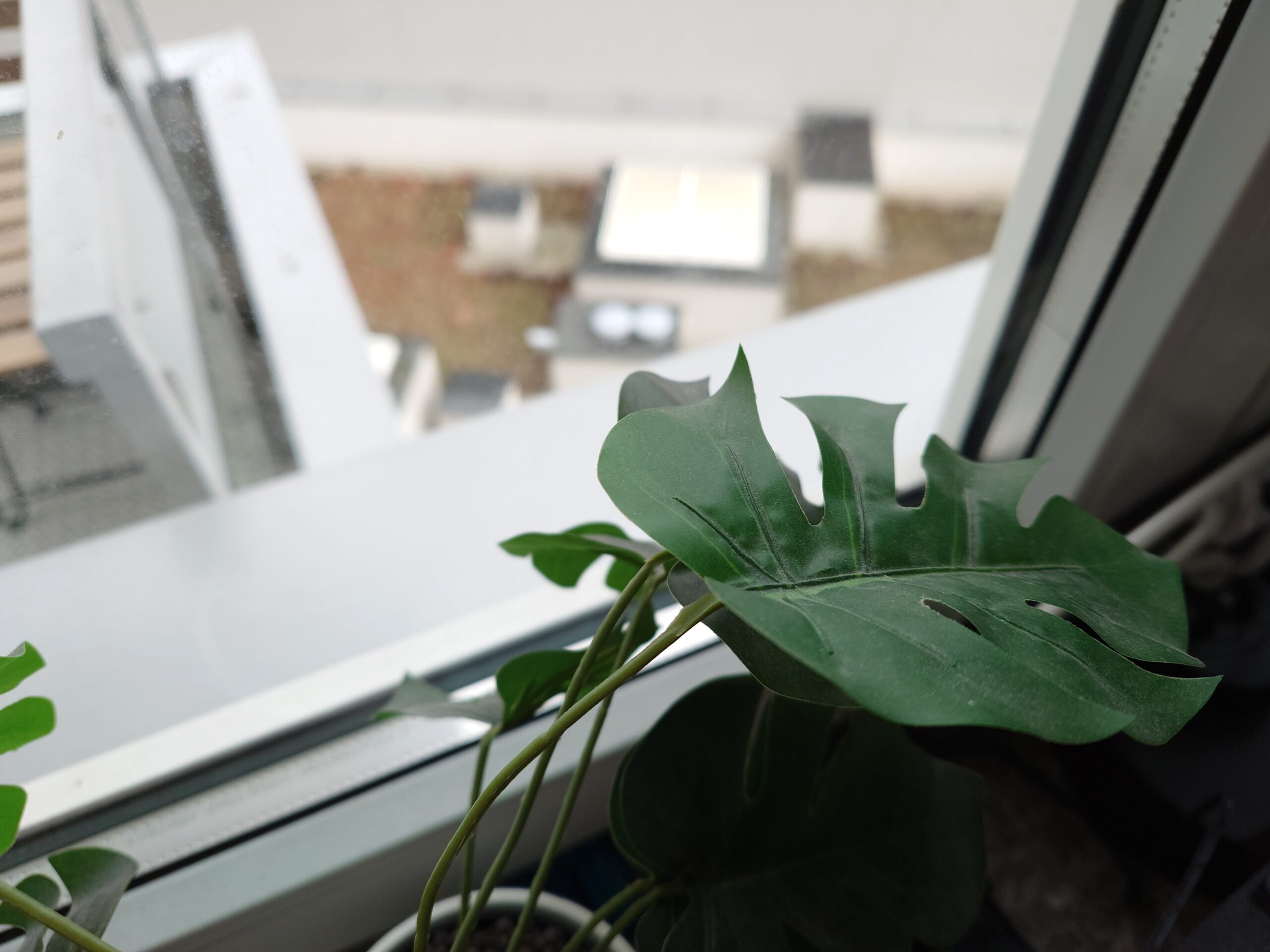 Zdjęcia makro - Sony Xperia 1 VI