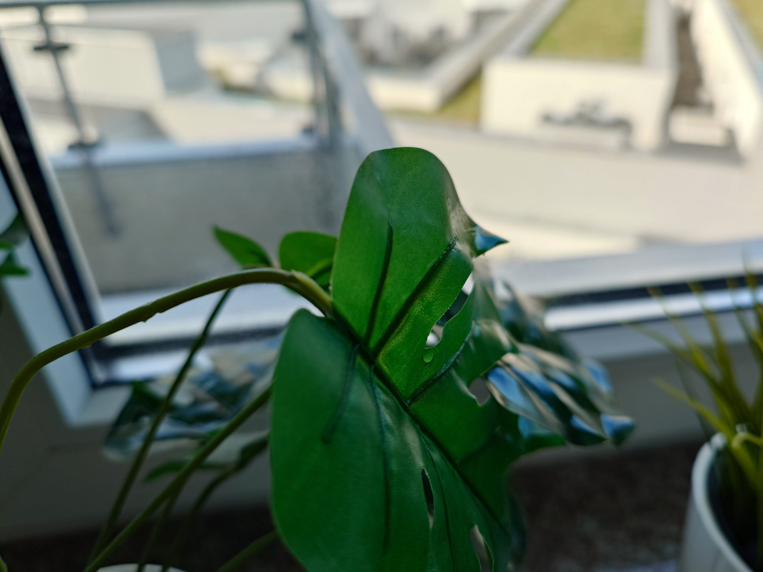 Zdjęcia makro - Sony Xperia 1 VII