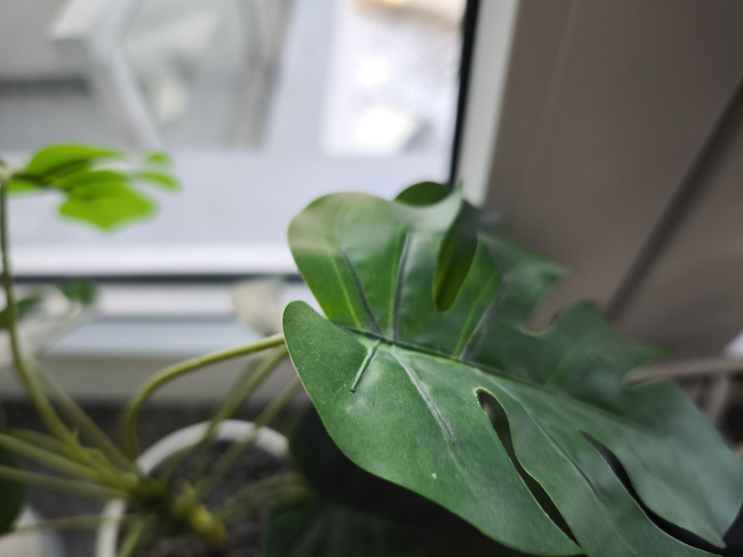 Zdjęcia makro - Xiaomi 14T Pro
