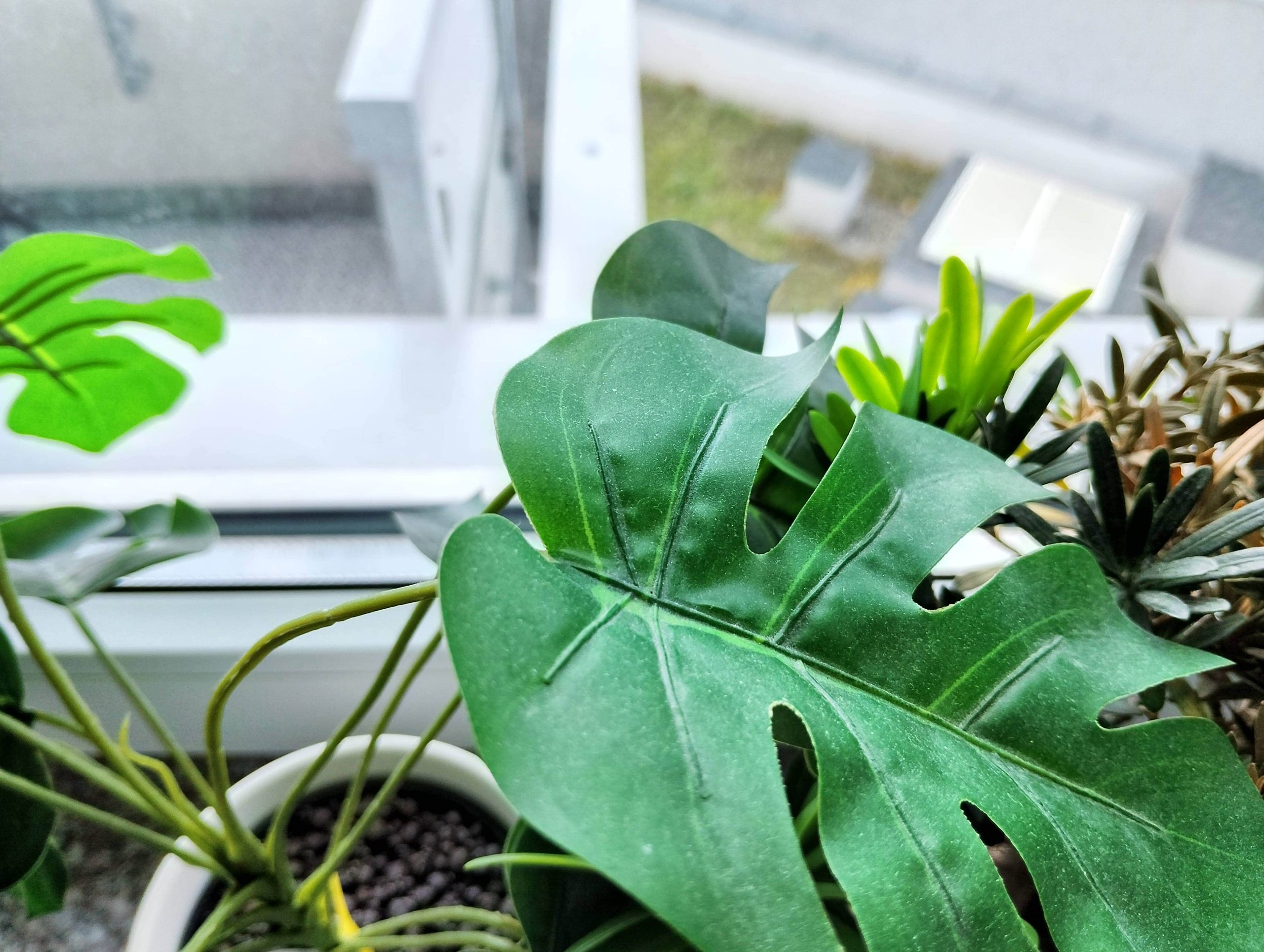 Zdjęcia makro - nubia Neo 2