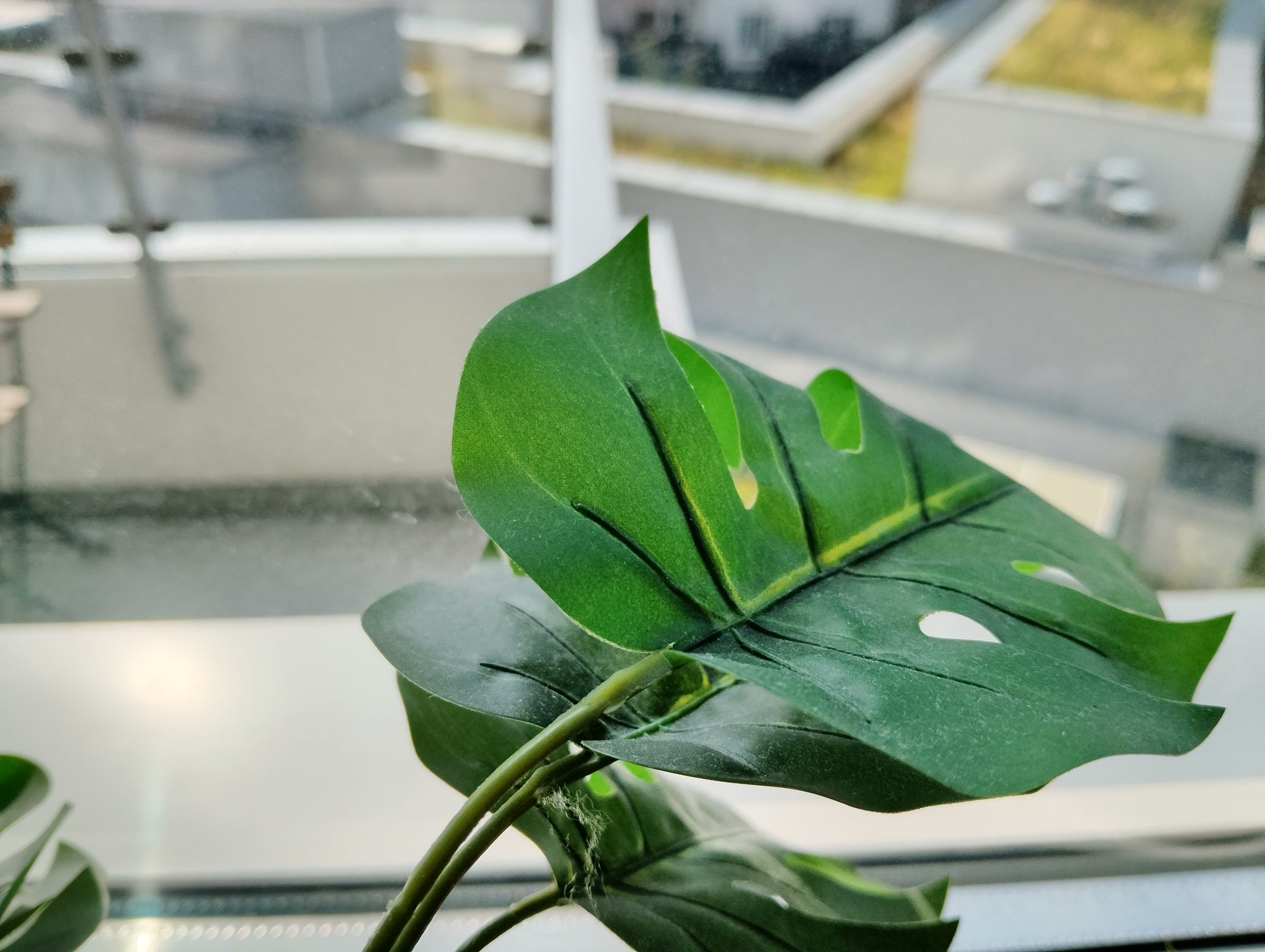 Zdjęcia makro - nubia Neo 3 GT