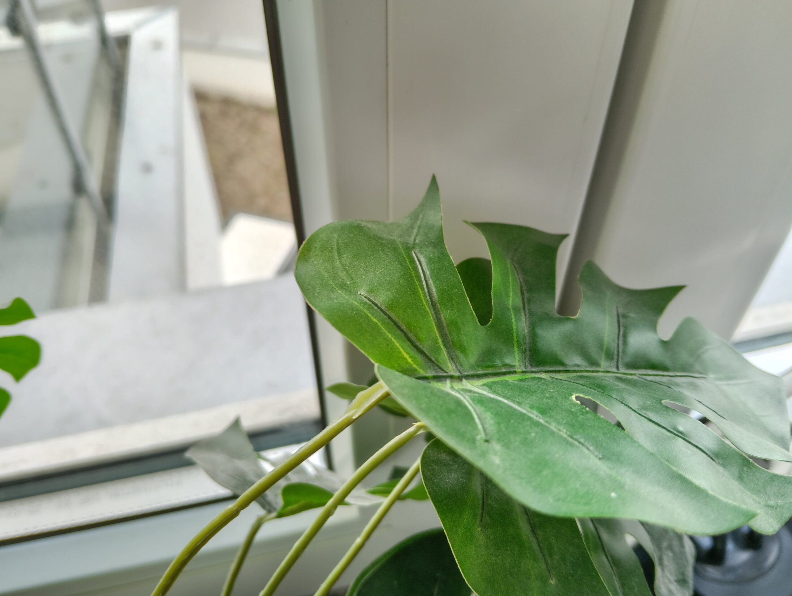 Zdjęcia makro - realme 14T