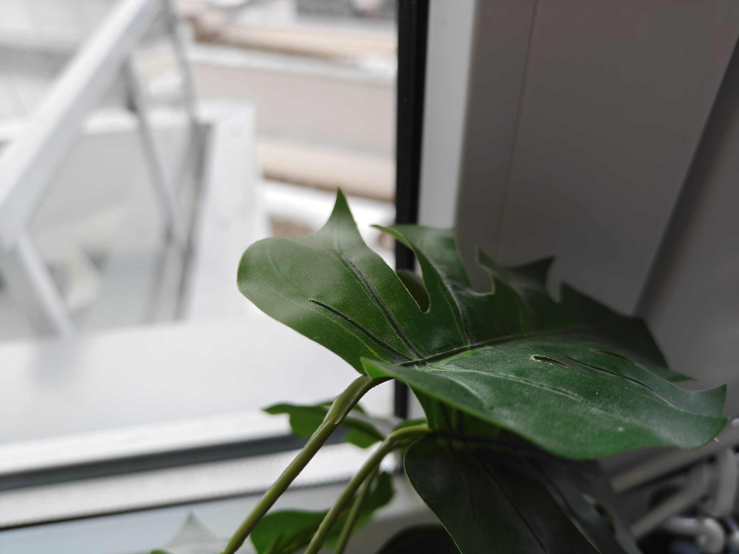 Zdjęcia makro - realme GT7 Pro