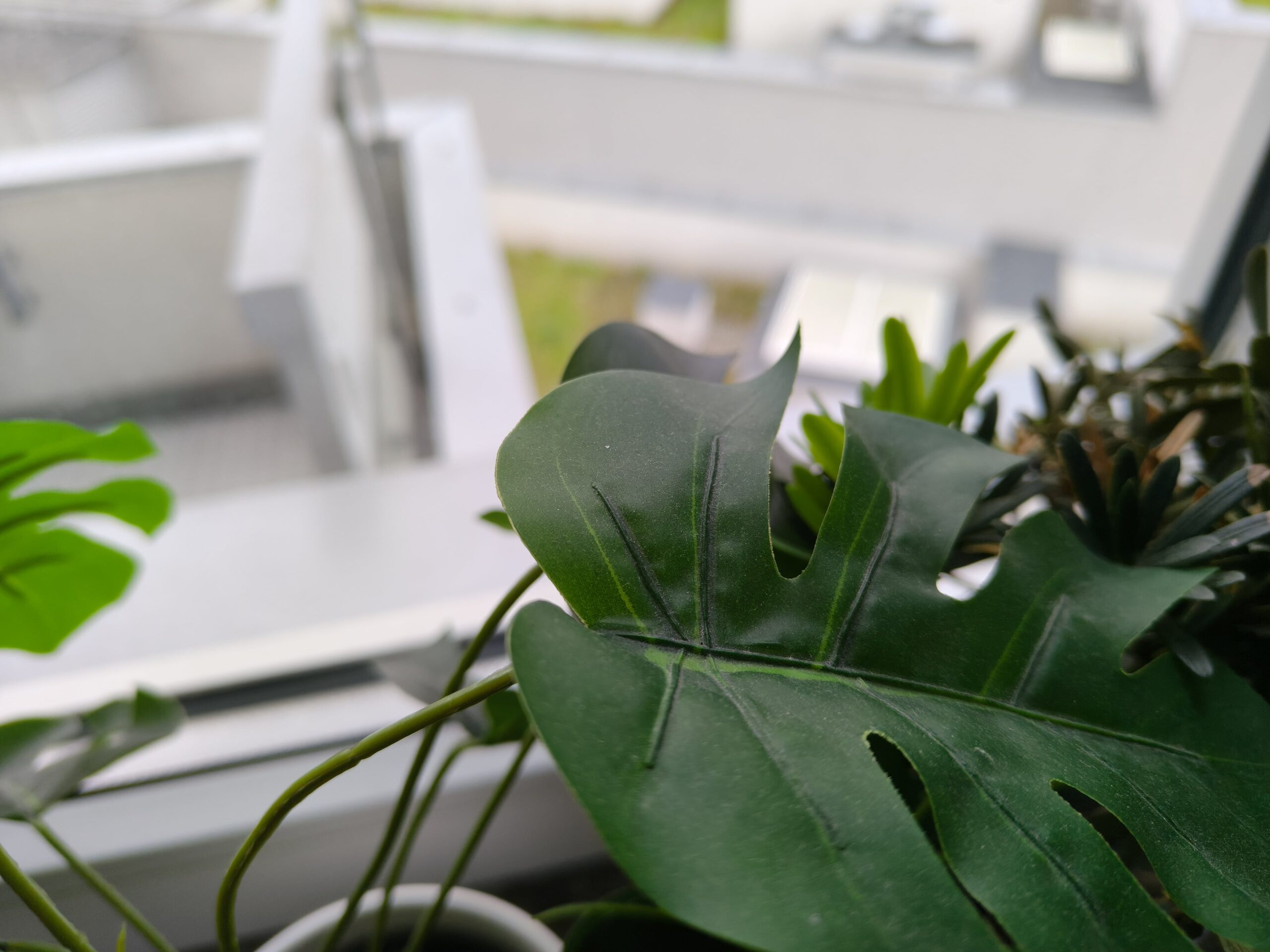 Zdjęcia makro - realme GT 7T