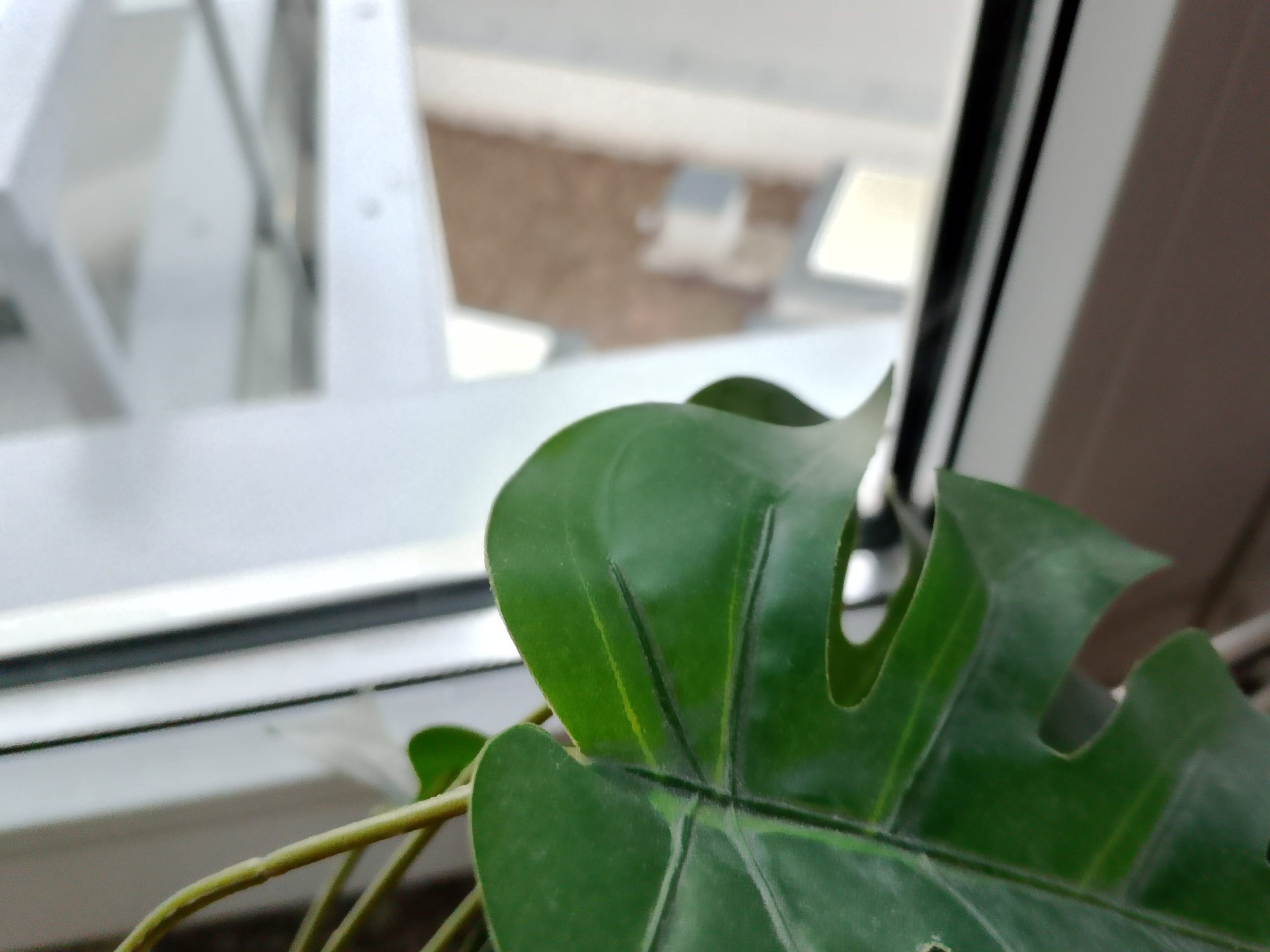 Zdjęcia makro - realme Note 60