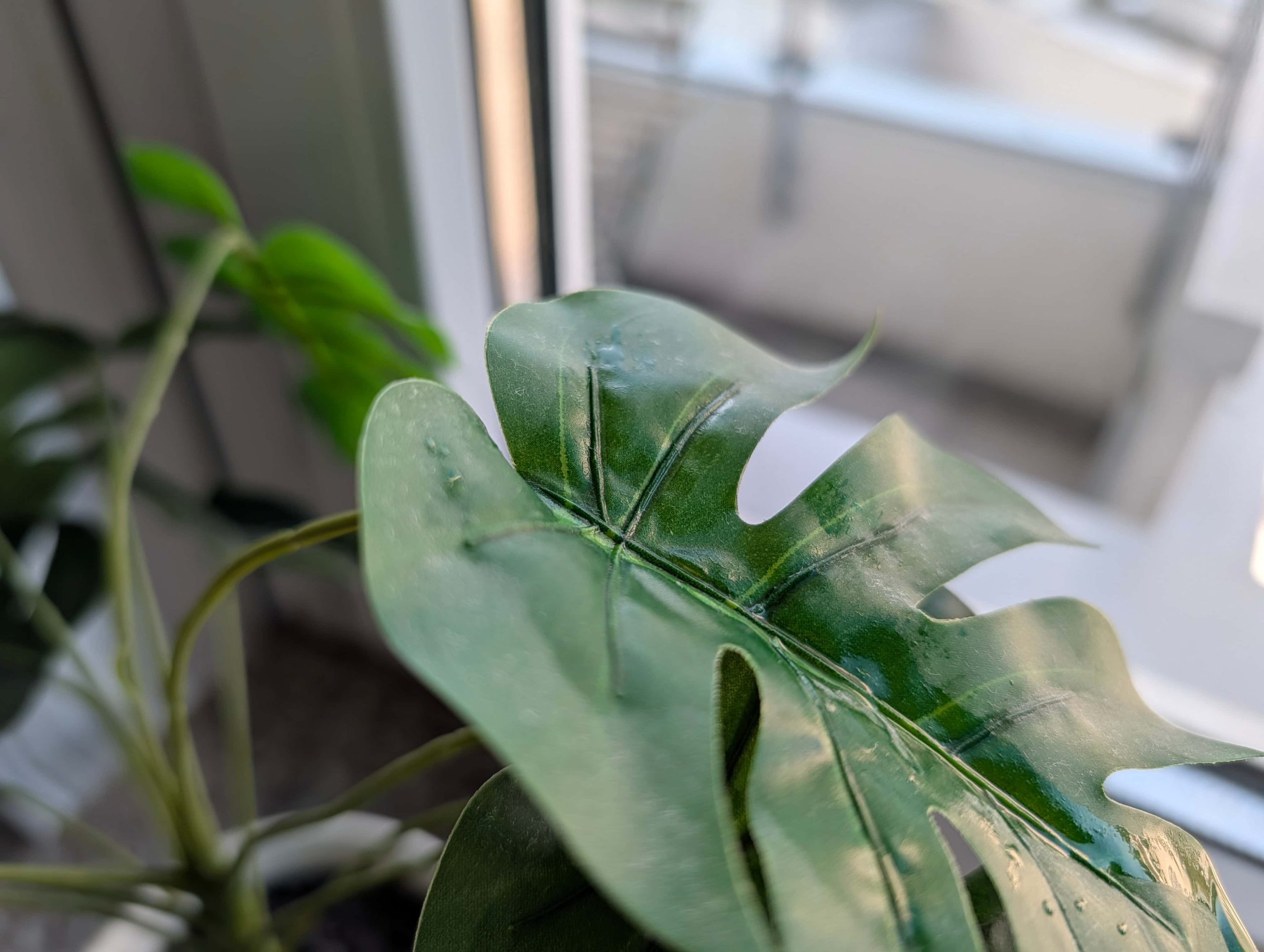 Zdjęcia makro - Google Pixel 10 Pro