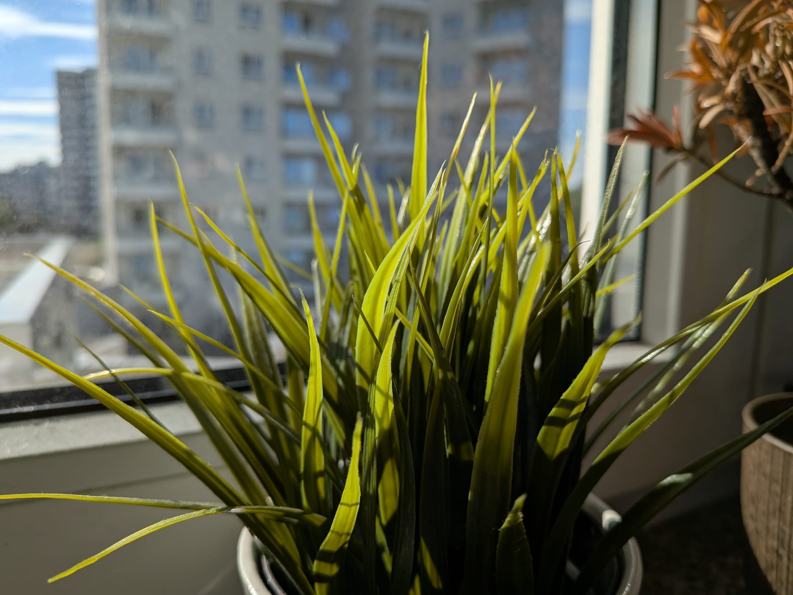 Zdjęcia makro - Google Pixel 9a