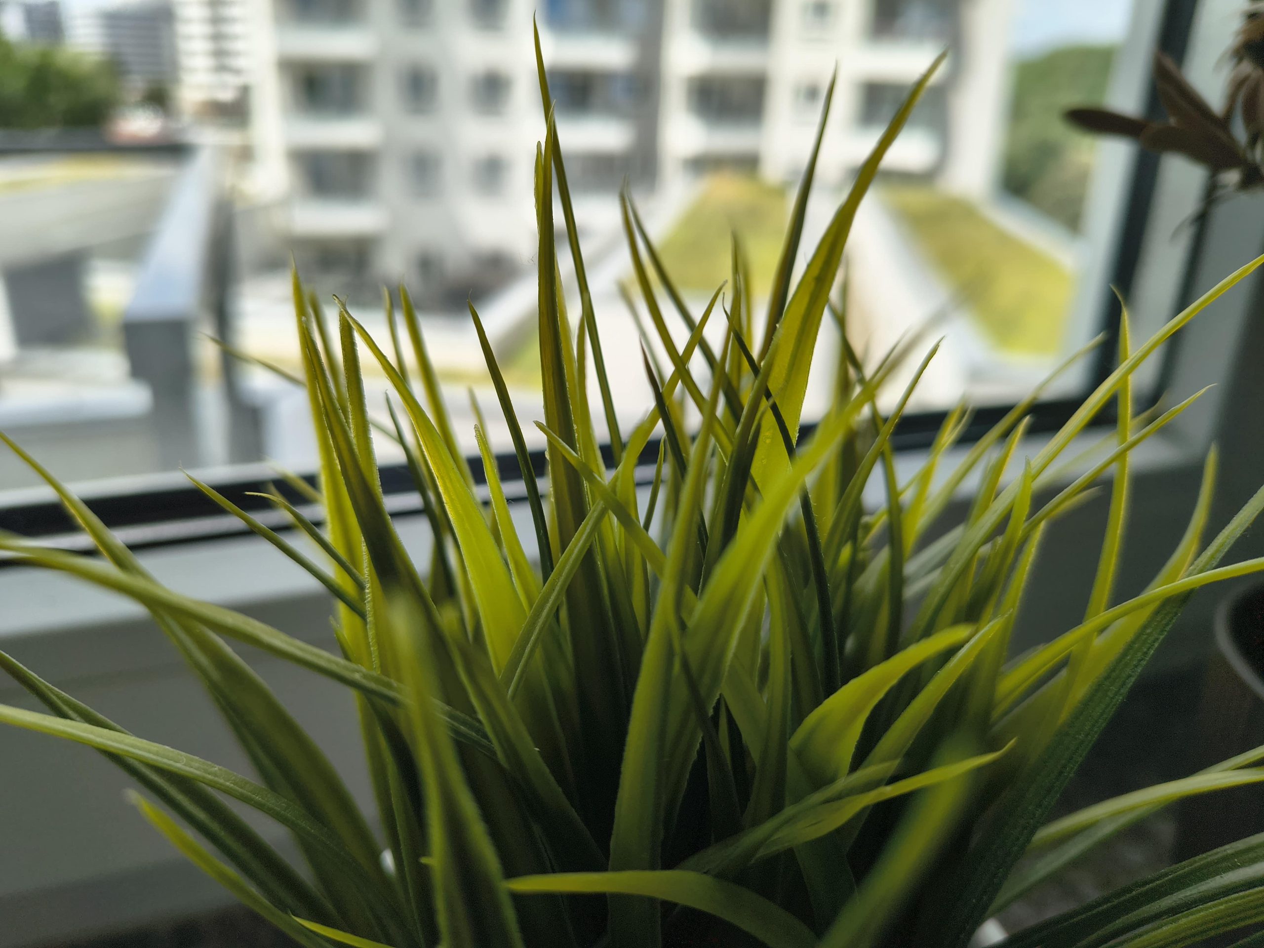 Zdjęcia makro - Motorola Edge 60