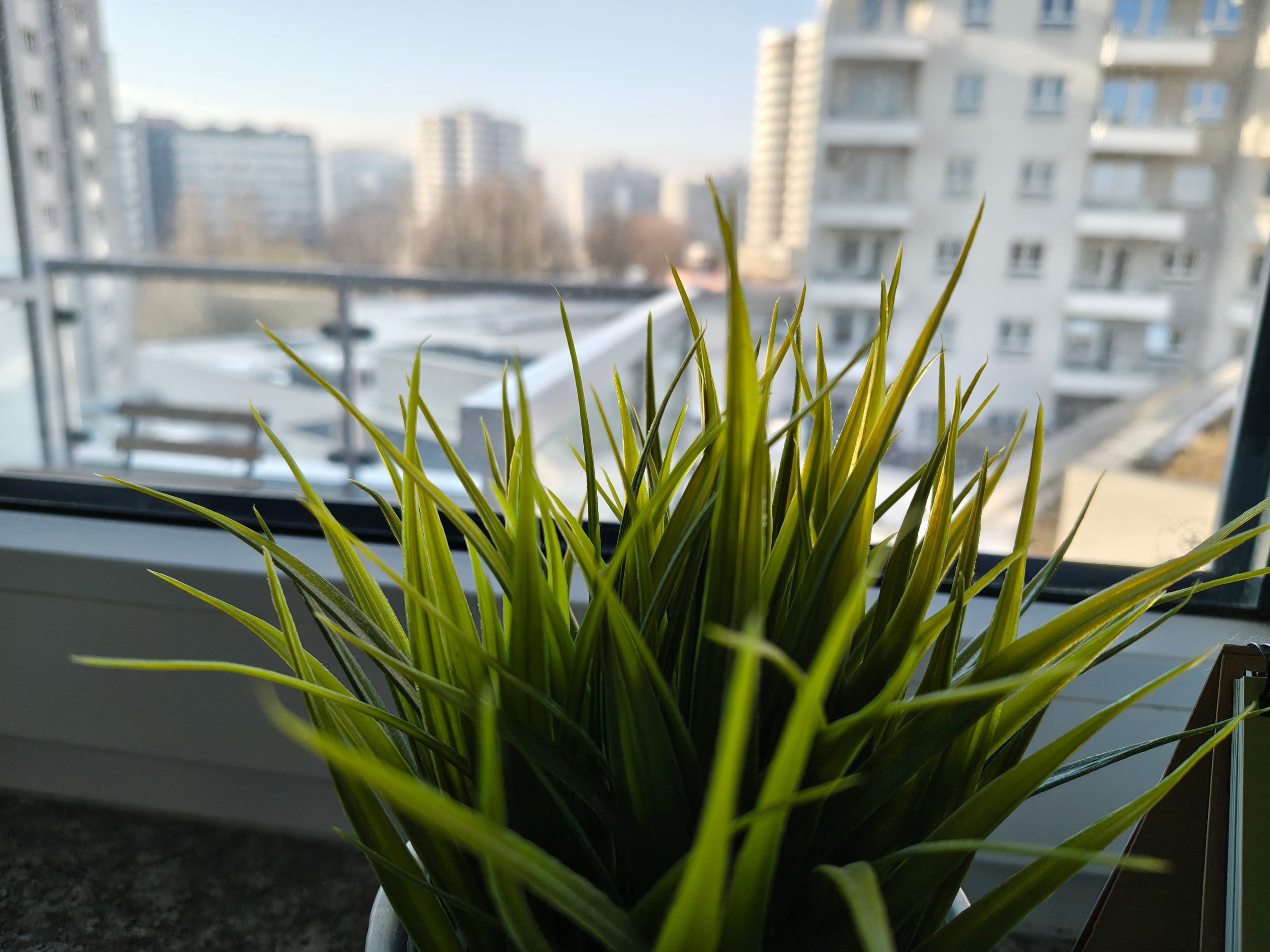 Zdjęcia makro - Motorola Edge 70