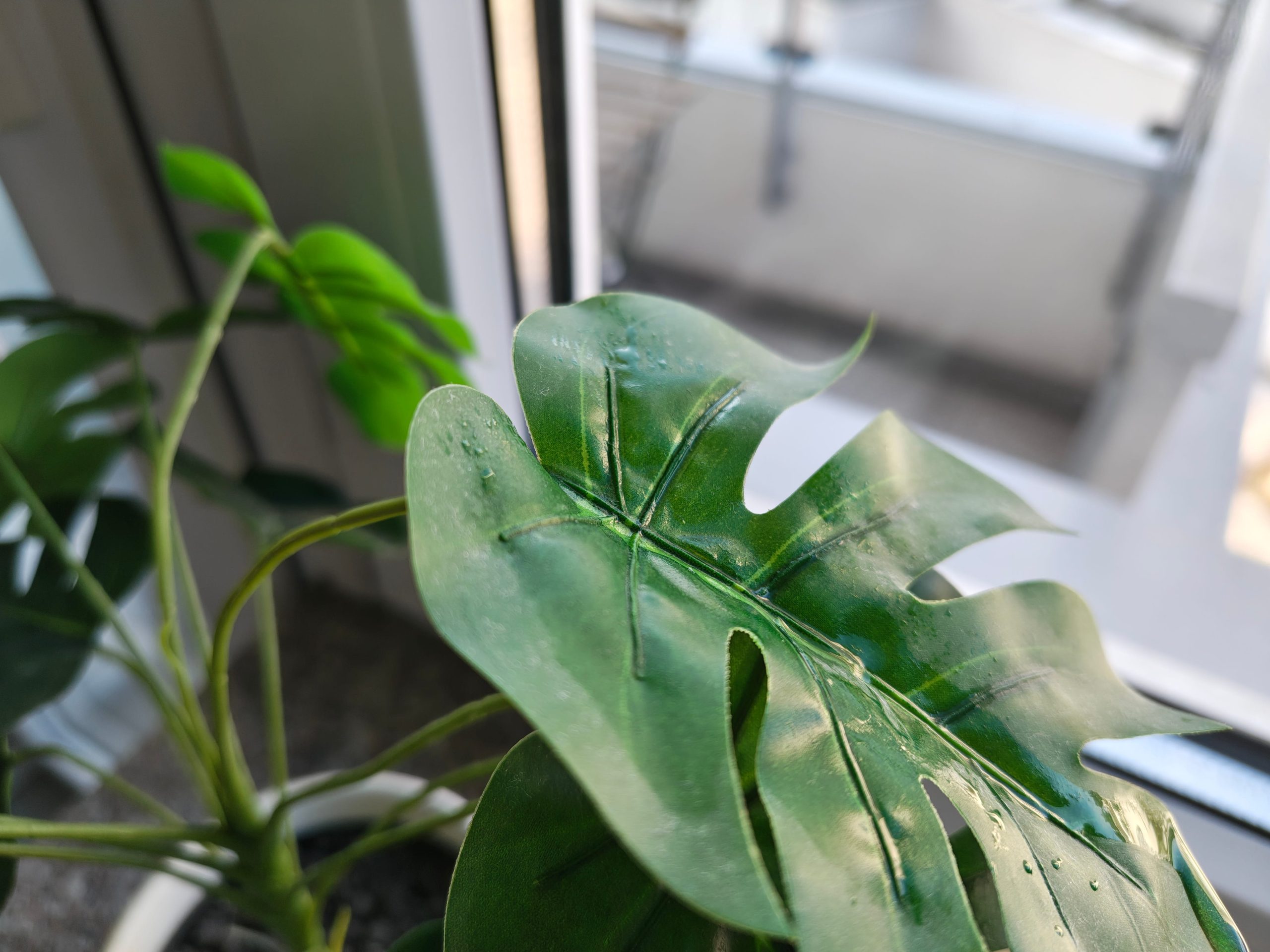 Zdjęcia makro - Motorola Edge 70