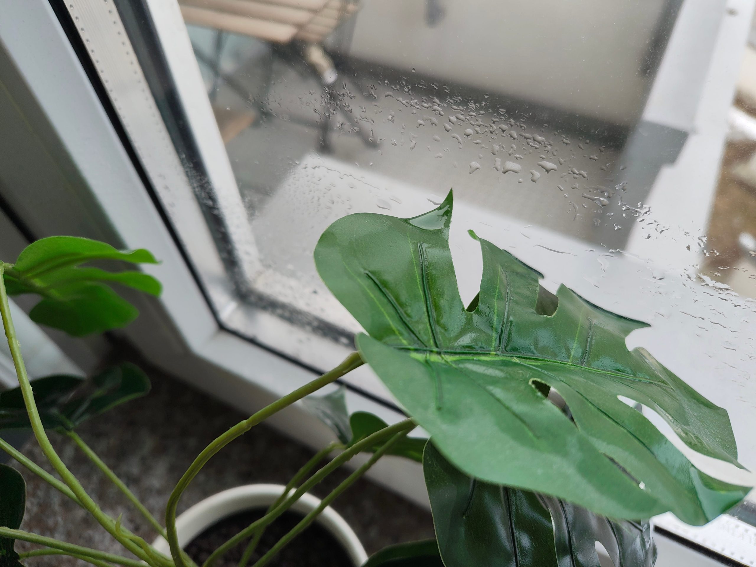 Zdjęcia makro - Nothing Phone (3a) Pro