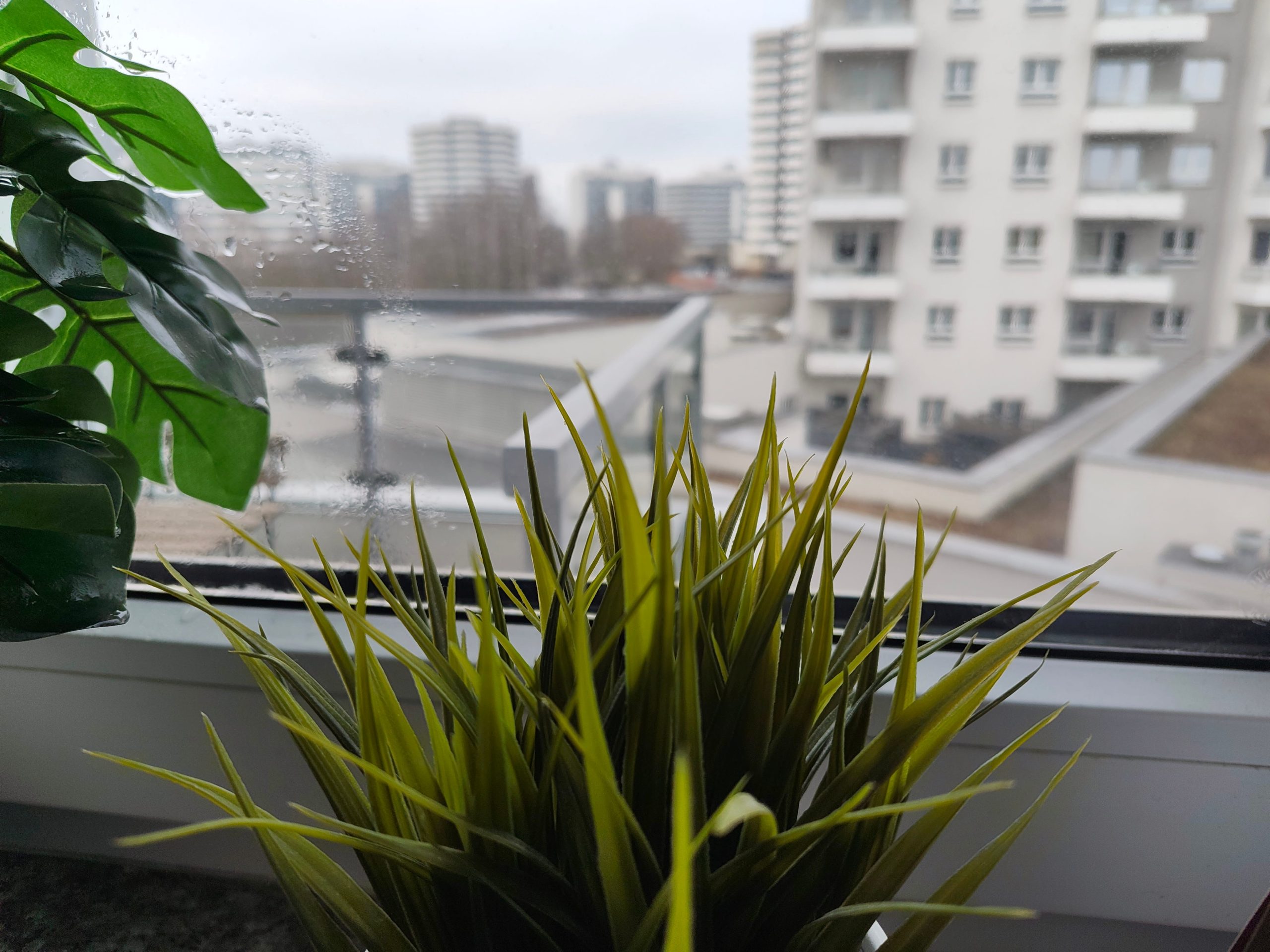 Zdjęcia makro - Nothing Phone (3a) Pro