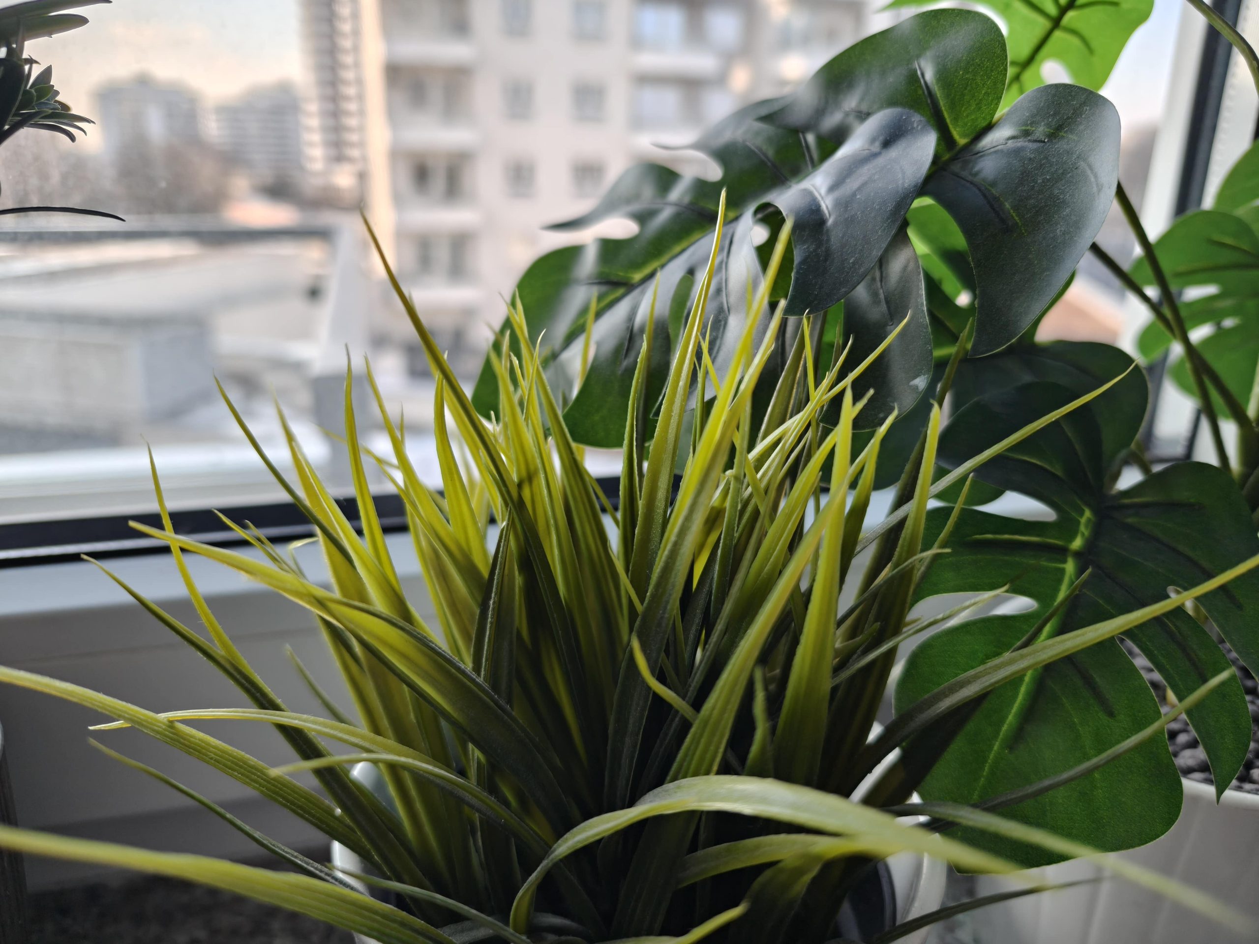 Zdjęcia makro - OPPO Find X8 Pro