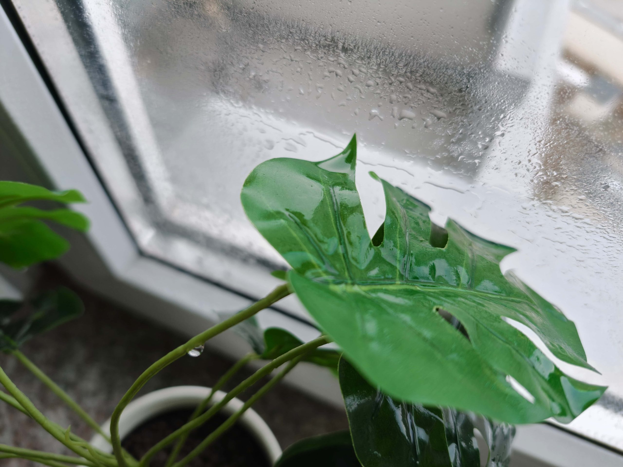 Zdjęcia makro - OPPO Find X9 Pro