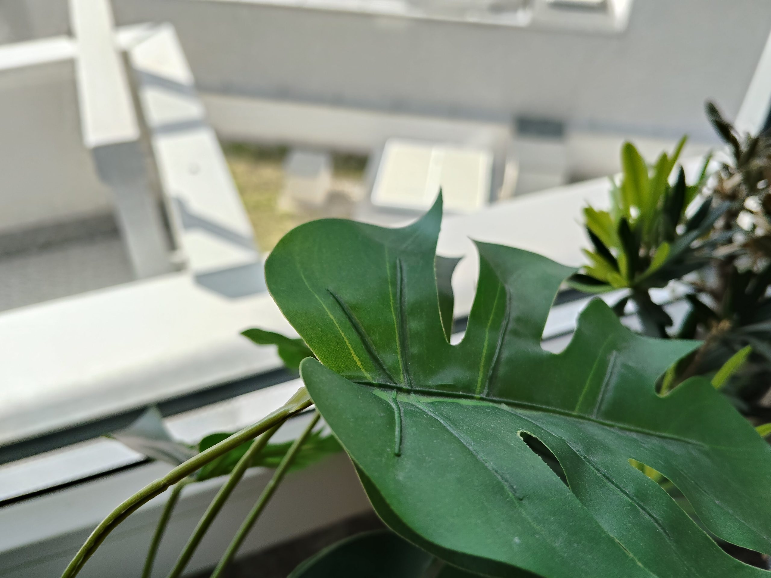 Zdjęcia makro - OPPO Reno13 FS