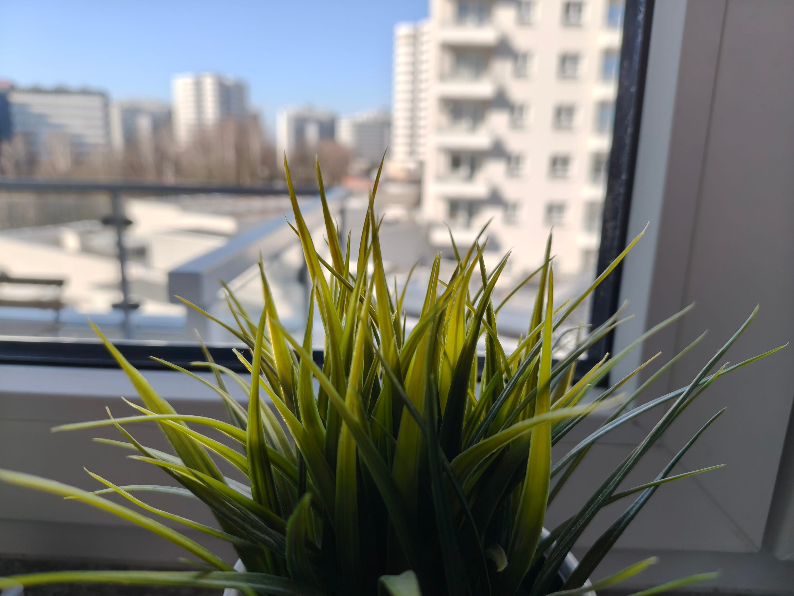 Zdjęcia makro - OPPO Reno15 Pro Zdjęcia makro - OPPO Reno15 Pro