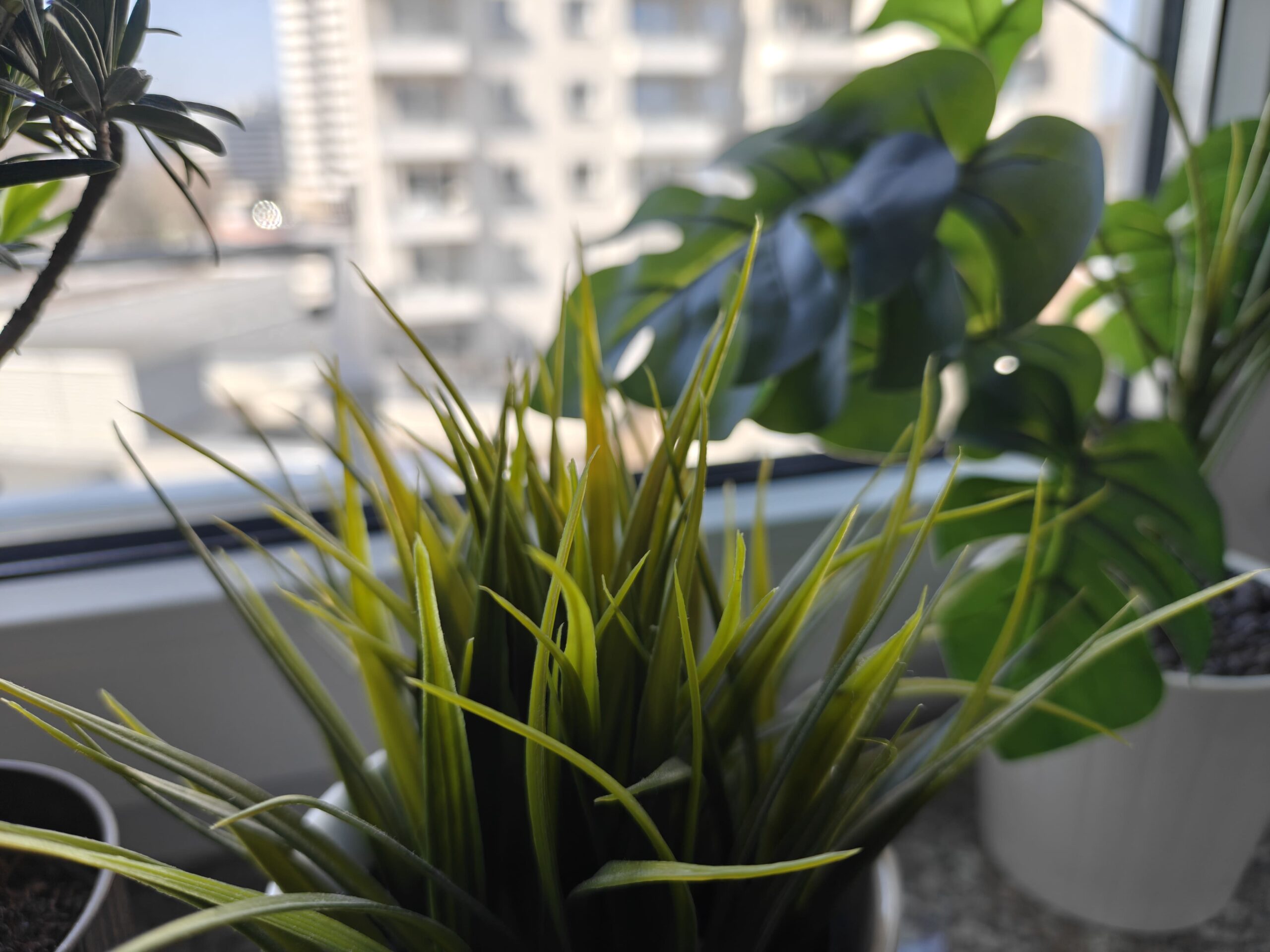 Zdjęcia makro - OnePlus 13