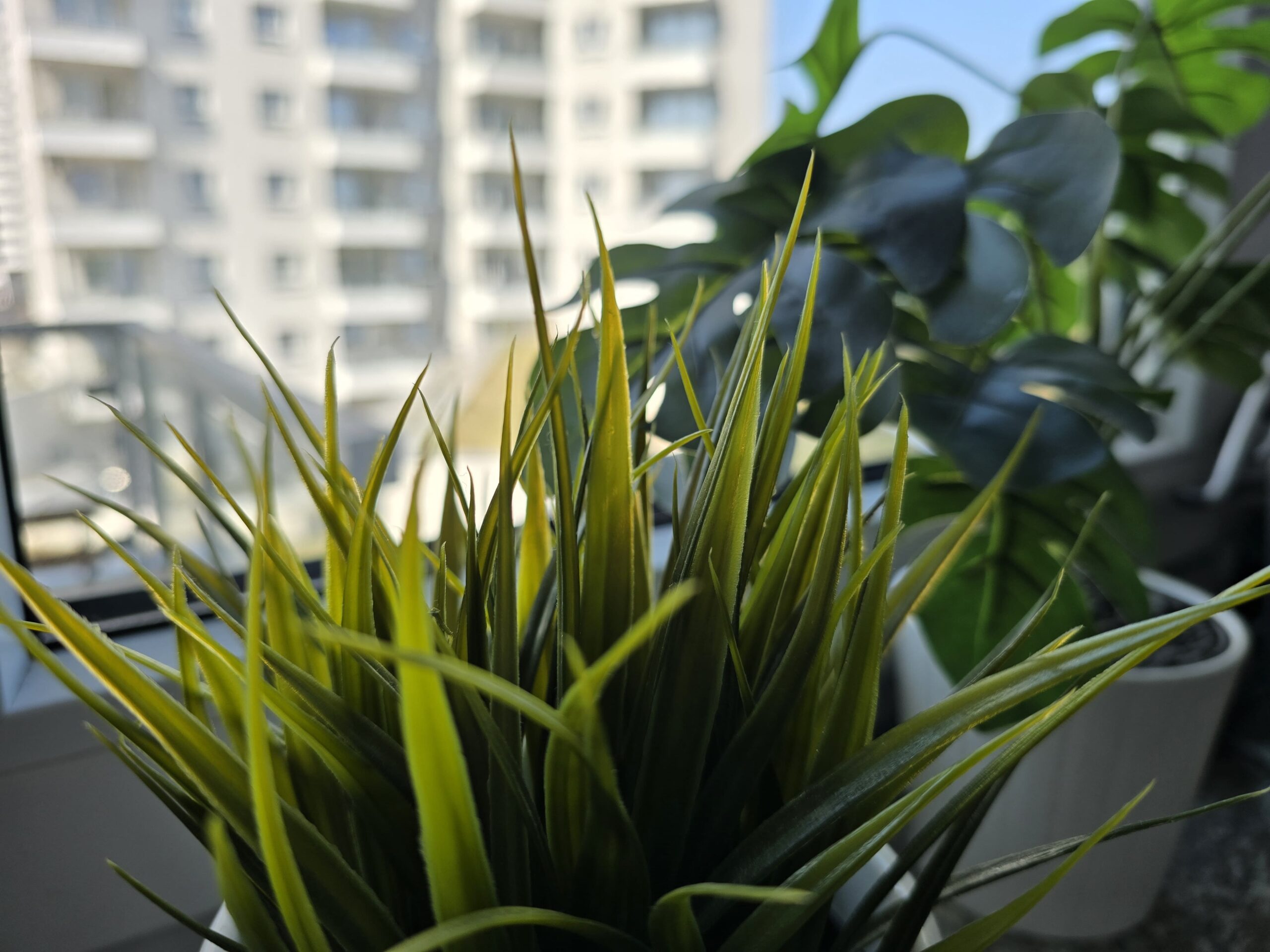 Zdjęcia makro - Samsung Galaxy S24 Ultra