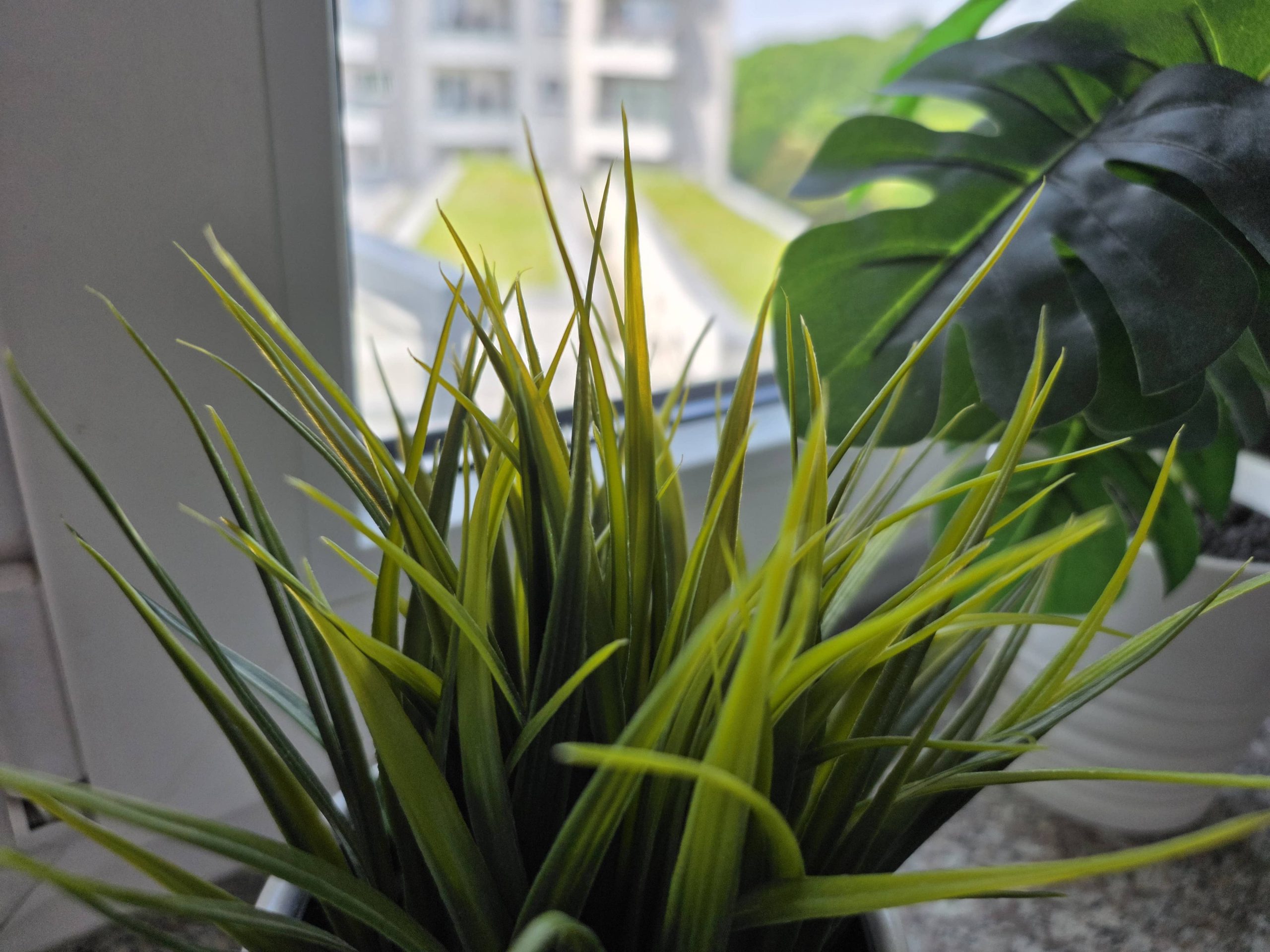 Zdjęcia makro - Samsung Galaxy S25 Edge