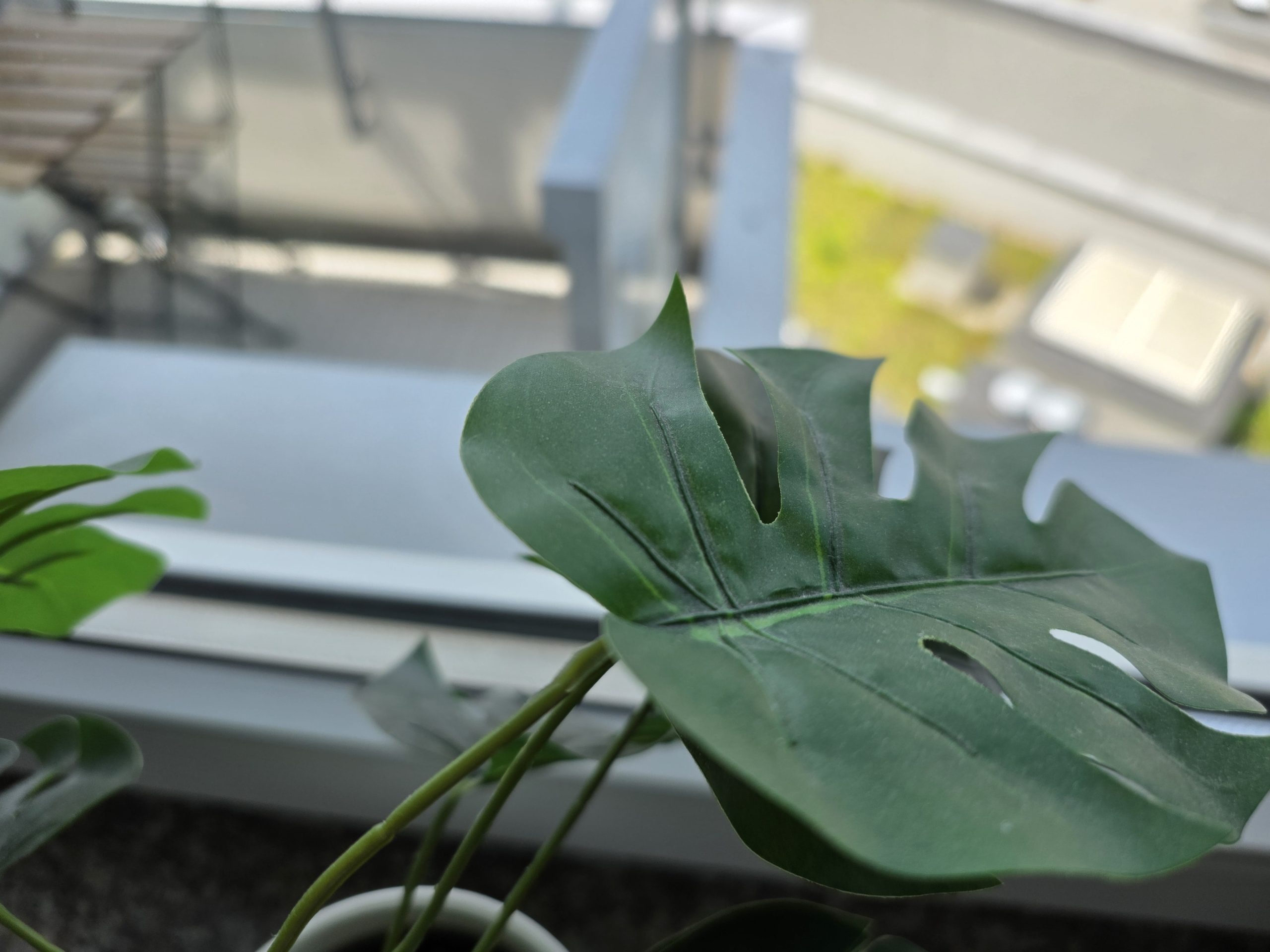 Zdjęcia makro - Samsung Galaxy S25 Edge