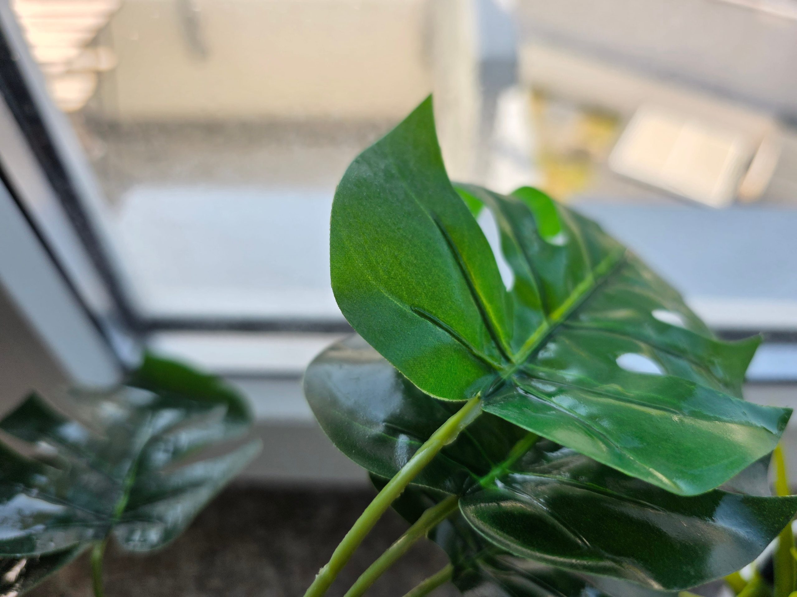 Zdjęcia makro - Samsung Galaxy S25 Ultra