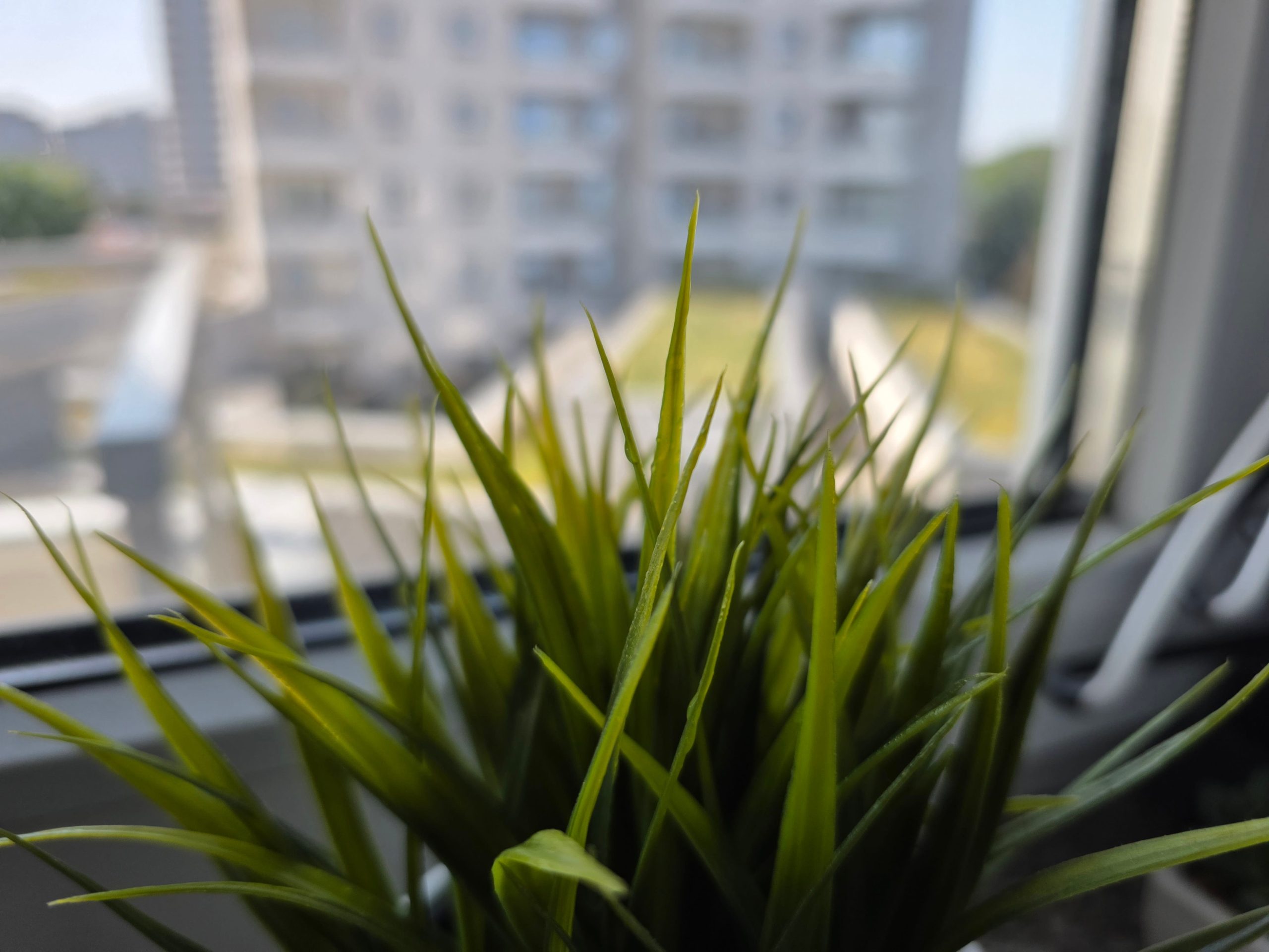 Zdjęcia makro - Samsung Galaxy S25 Ultra