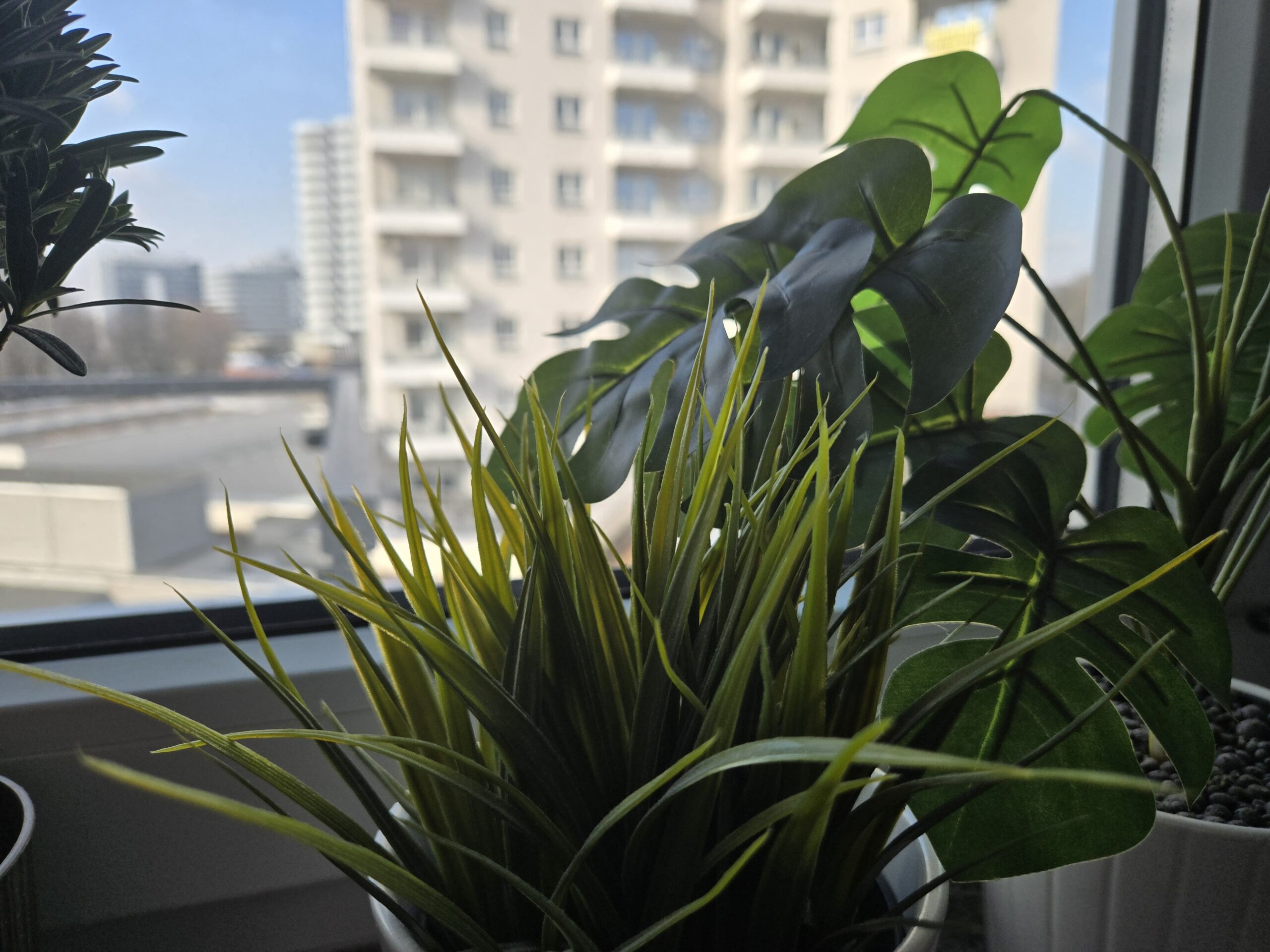 Zdjęcia makro - Samsung Galaxy Z Fold6