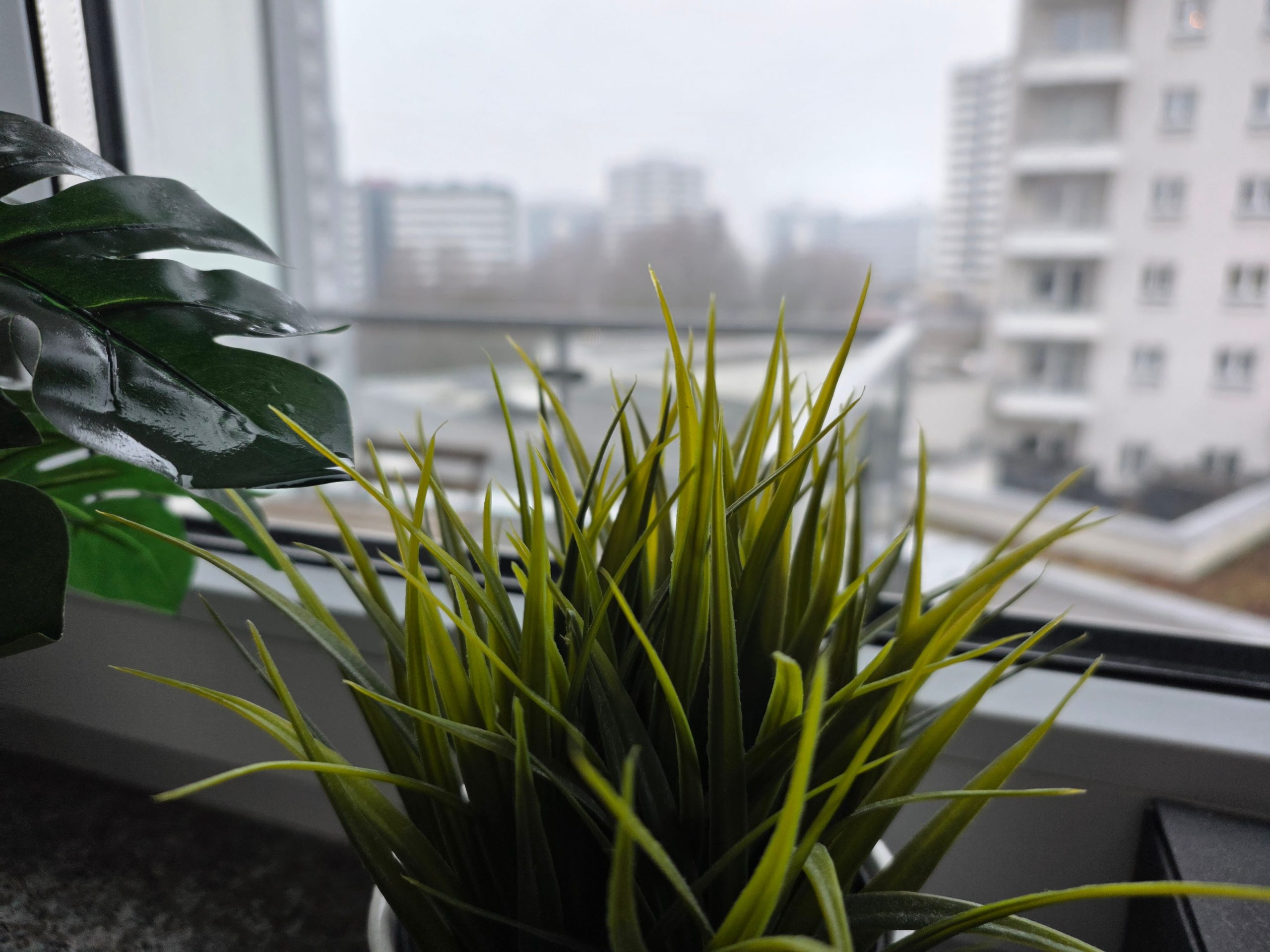Zdjęcia makro - Samsung Galaxy Z Fold7