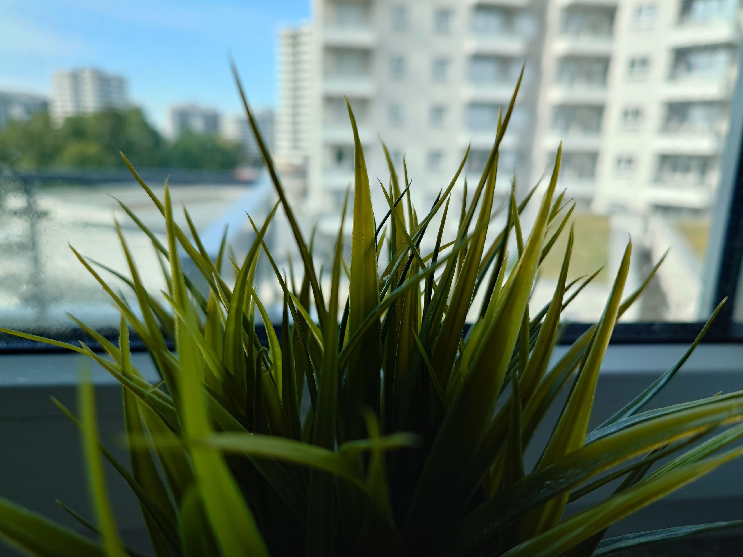 Zdjęcia makro - Sony Xperia 1 VII