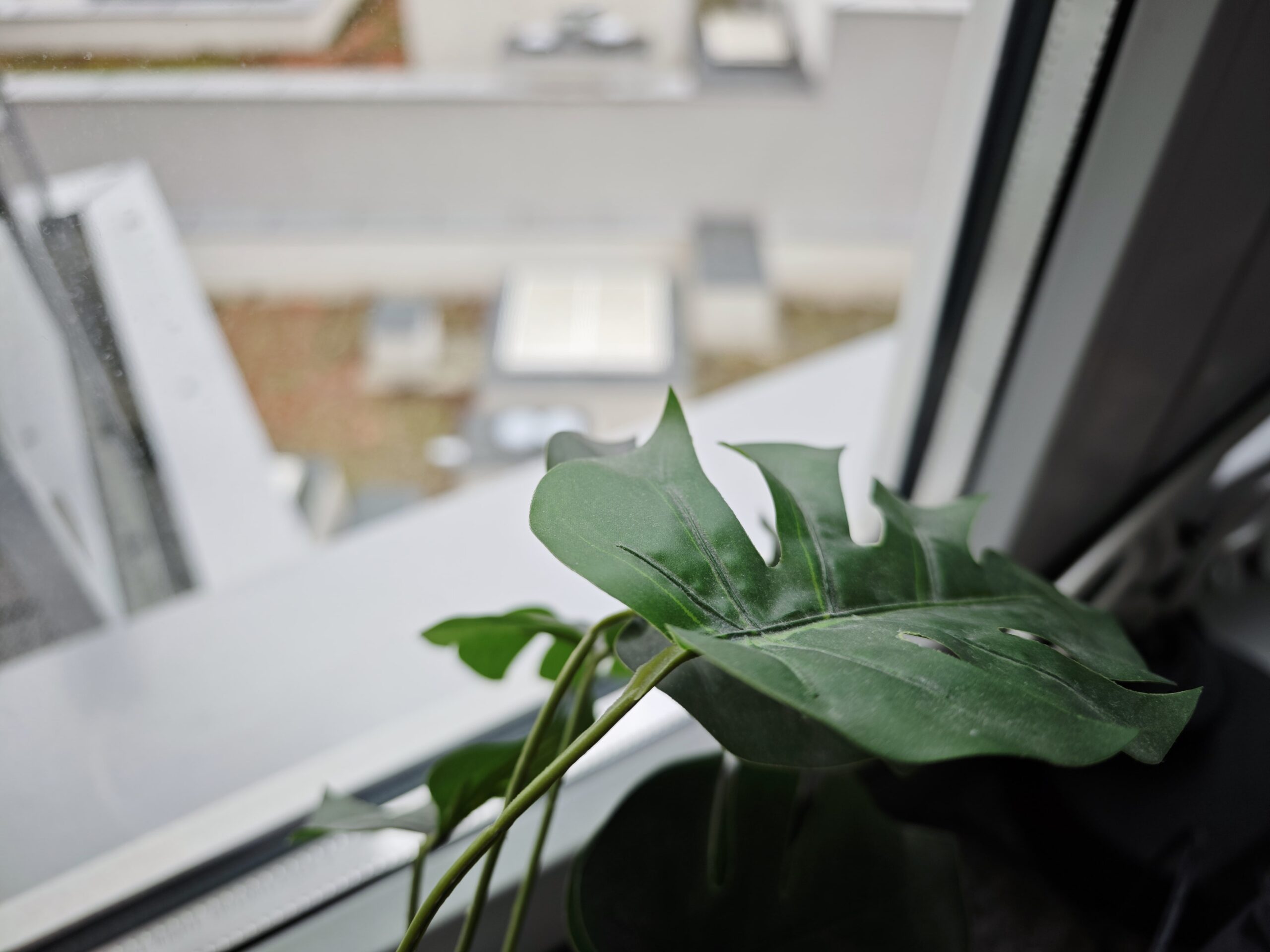 Zdjęcia makro - Xiaomi 14 Ultra
