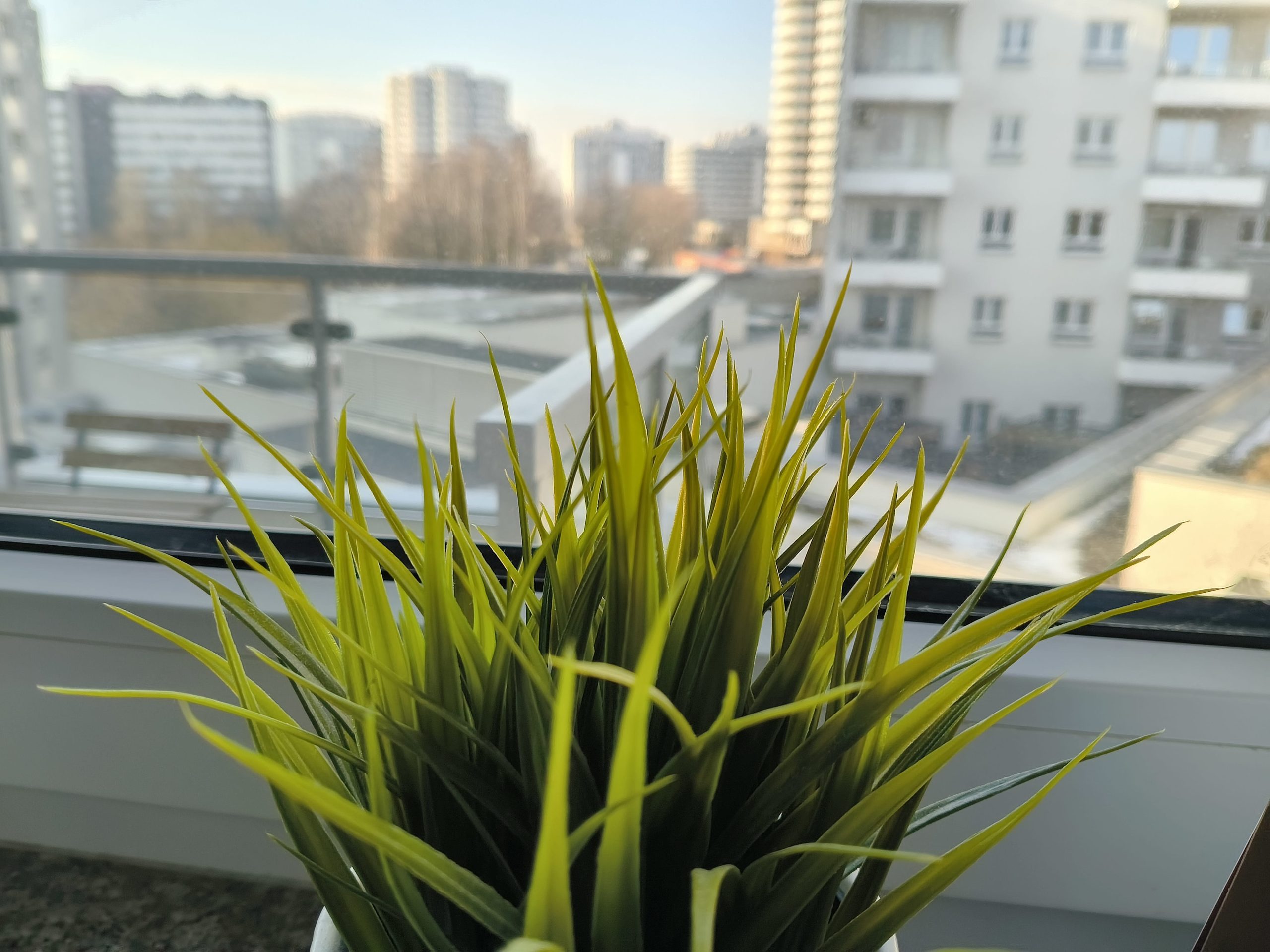 Zdjęcia makro - nubia Flip 2