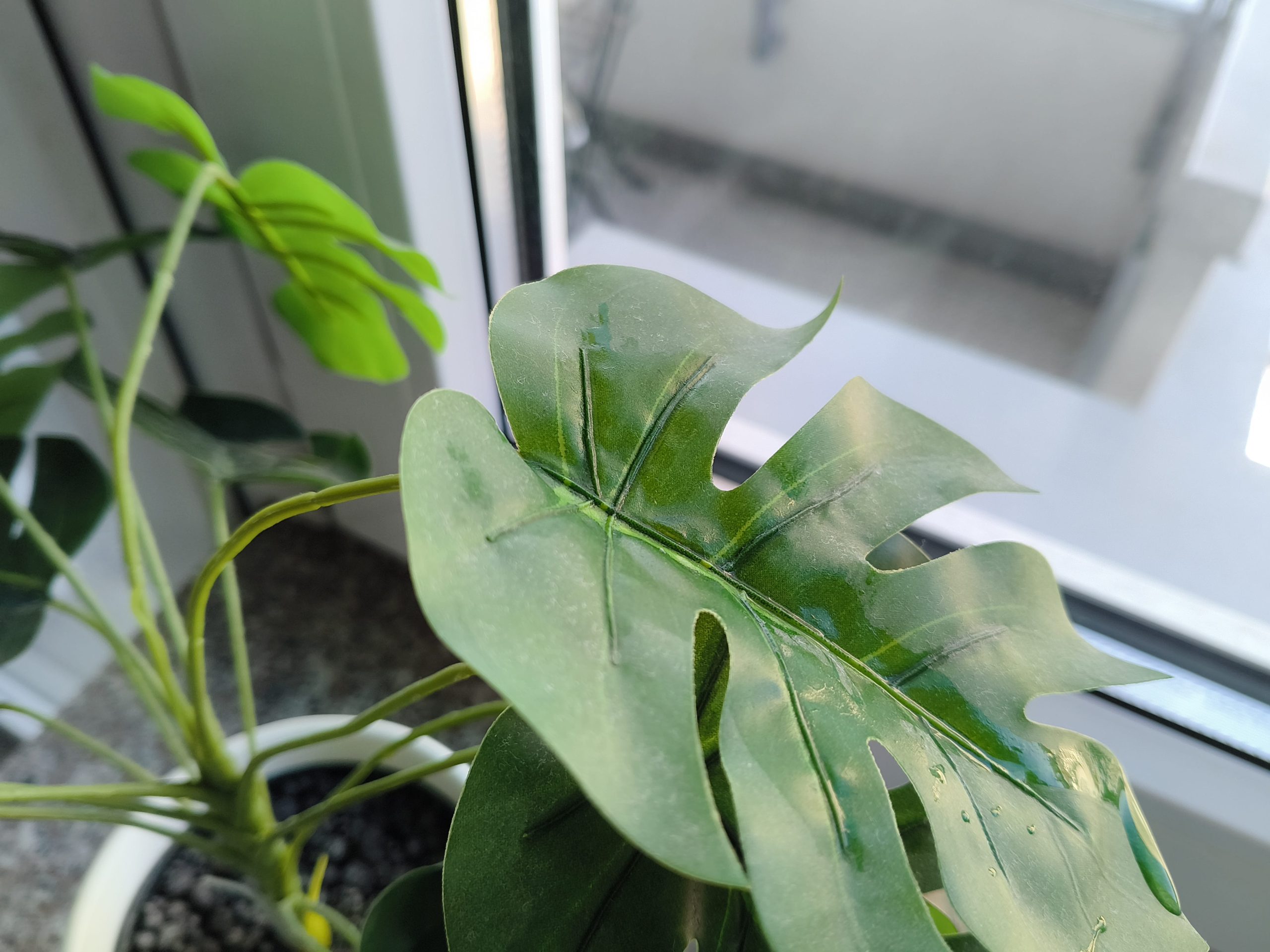 Zdjęcia makro - nubia Flip 2