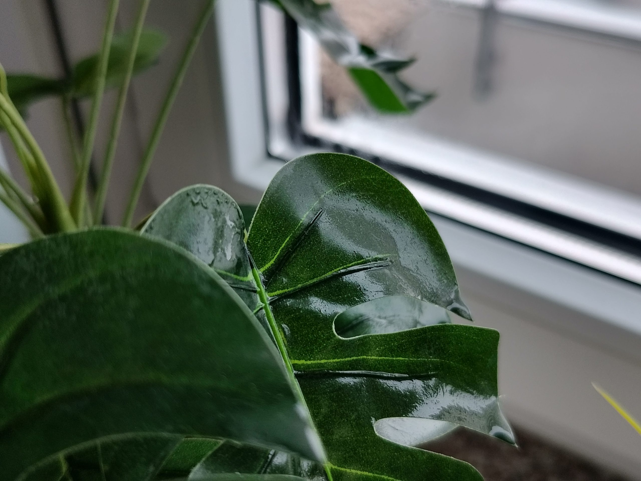 Zdjęcia makro - nubia Focus 2 Ultra