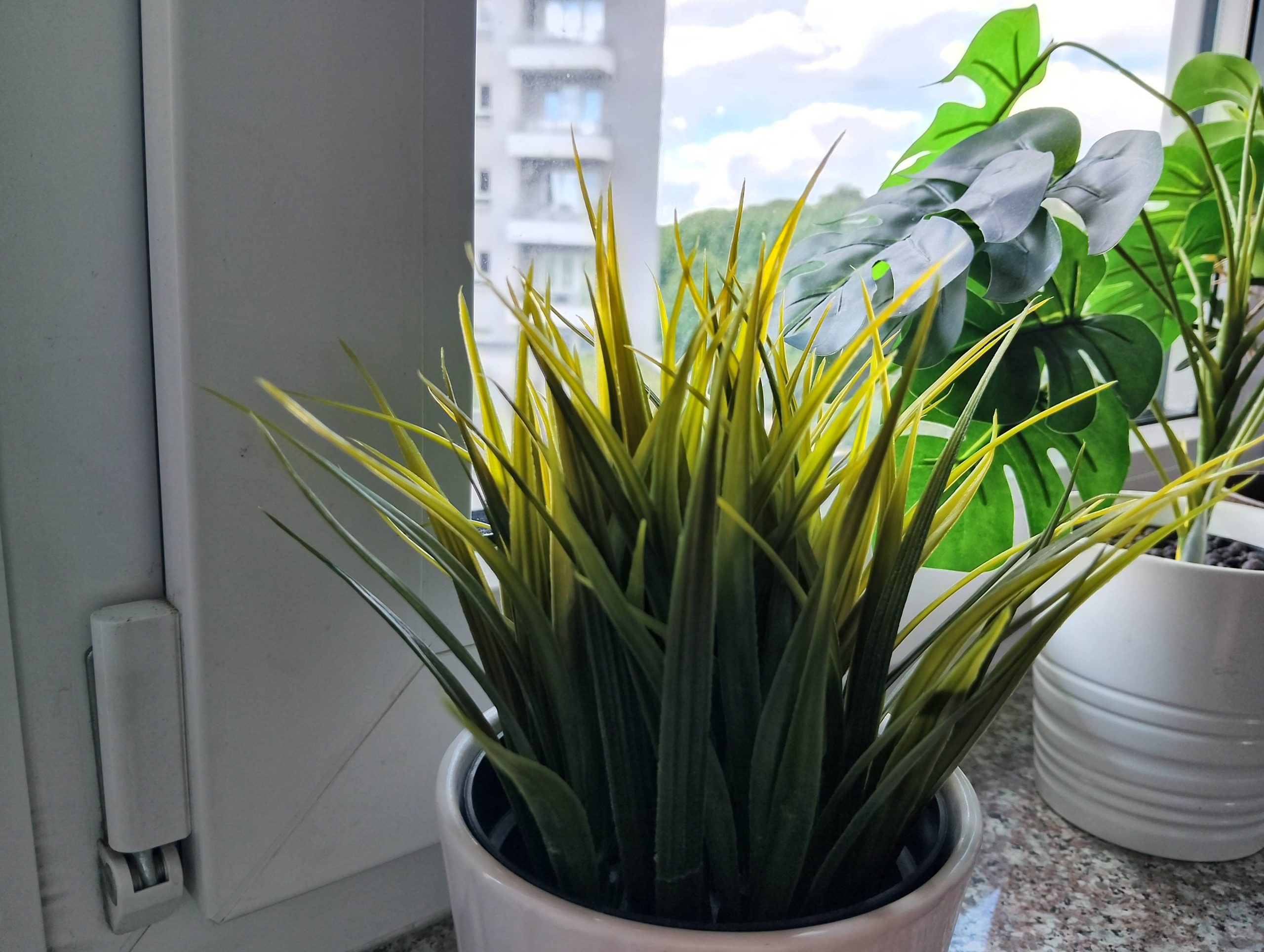 Zdjęcia makro - nubia Neo 2