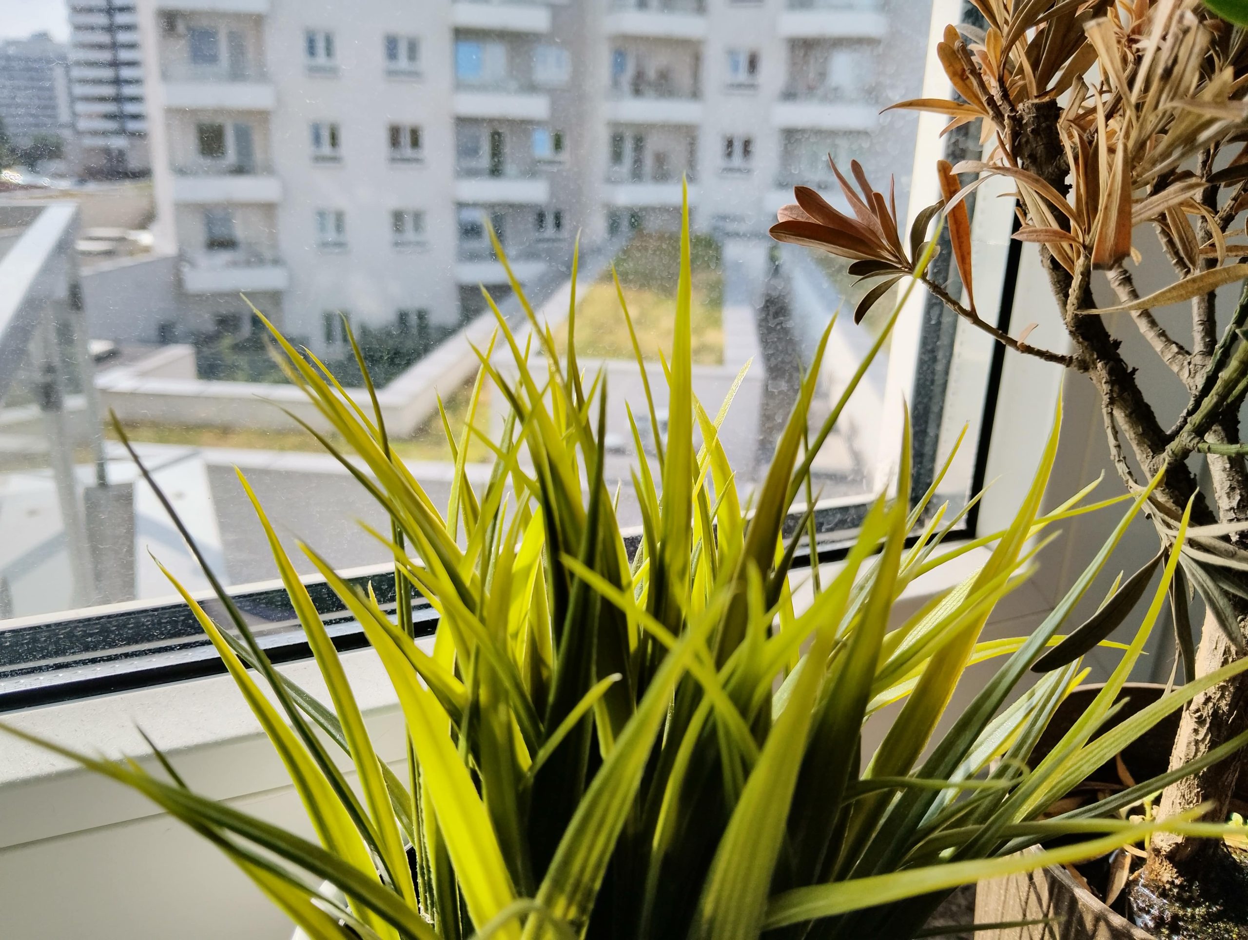 Zdjęcia makro - nubia Neo 3 GT