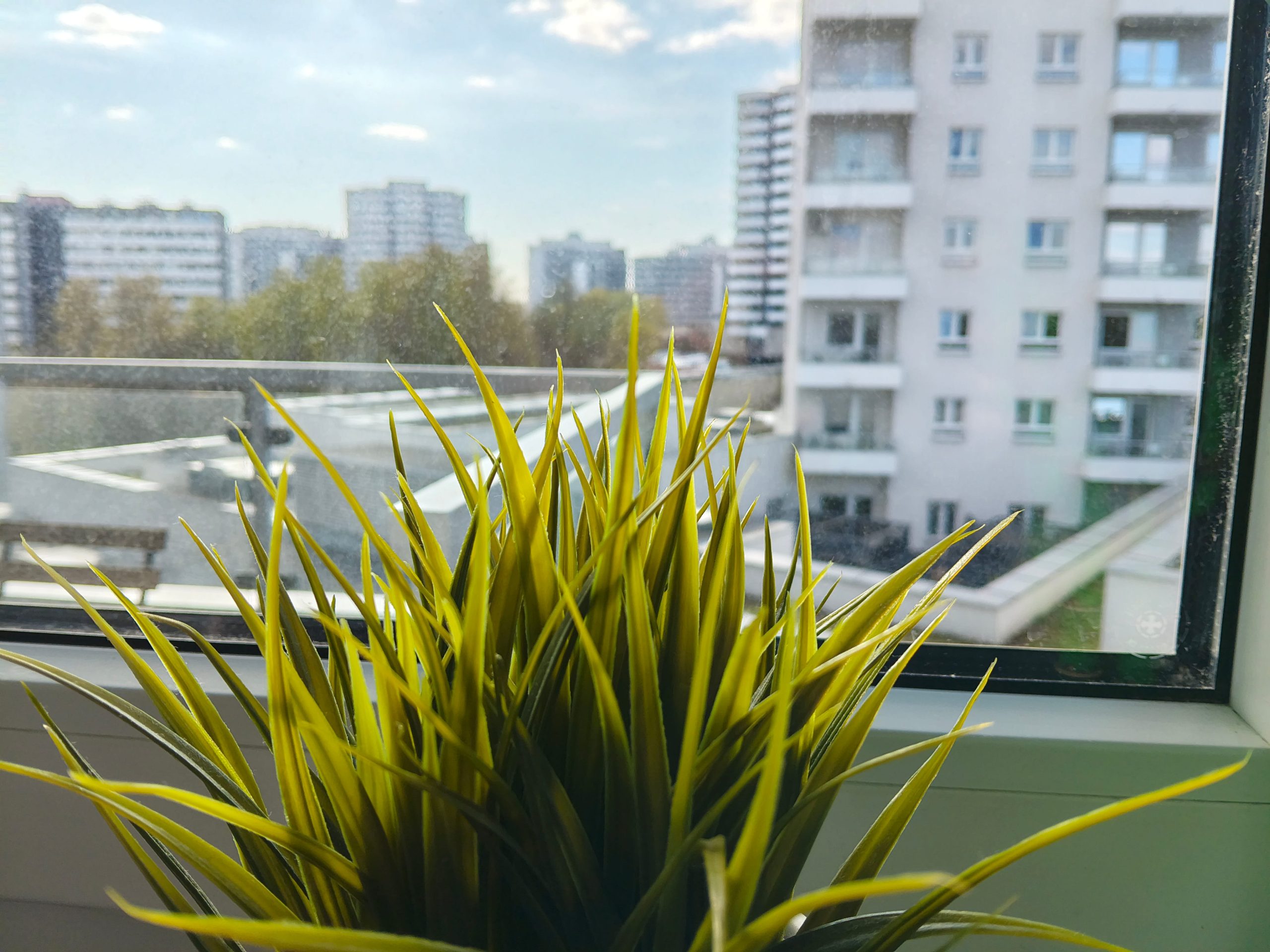 Zdjęcia makro - realme 16 Zdjęcia makro - realme 16