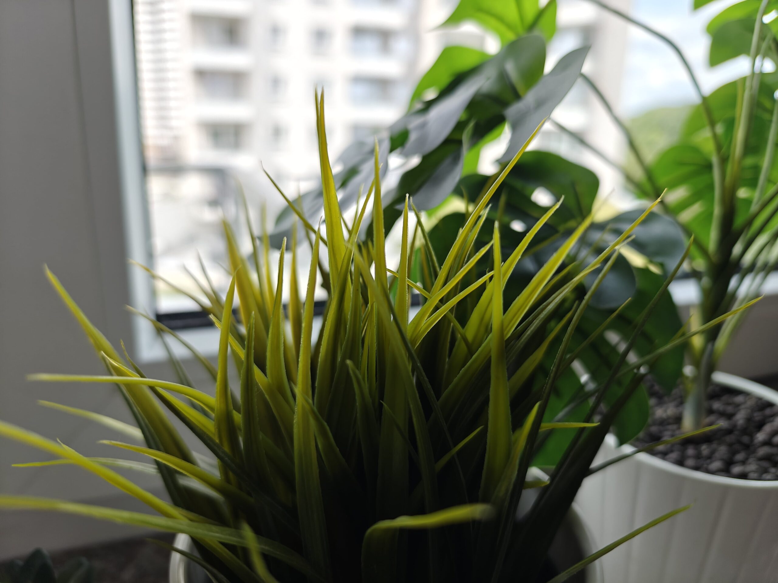 Zdjęcia makro - realme GT 6